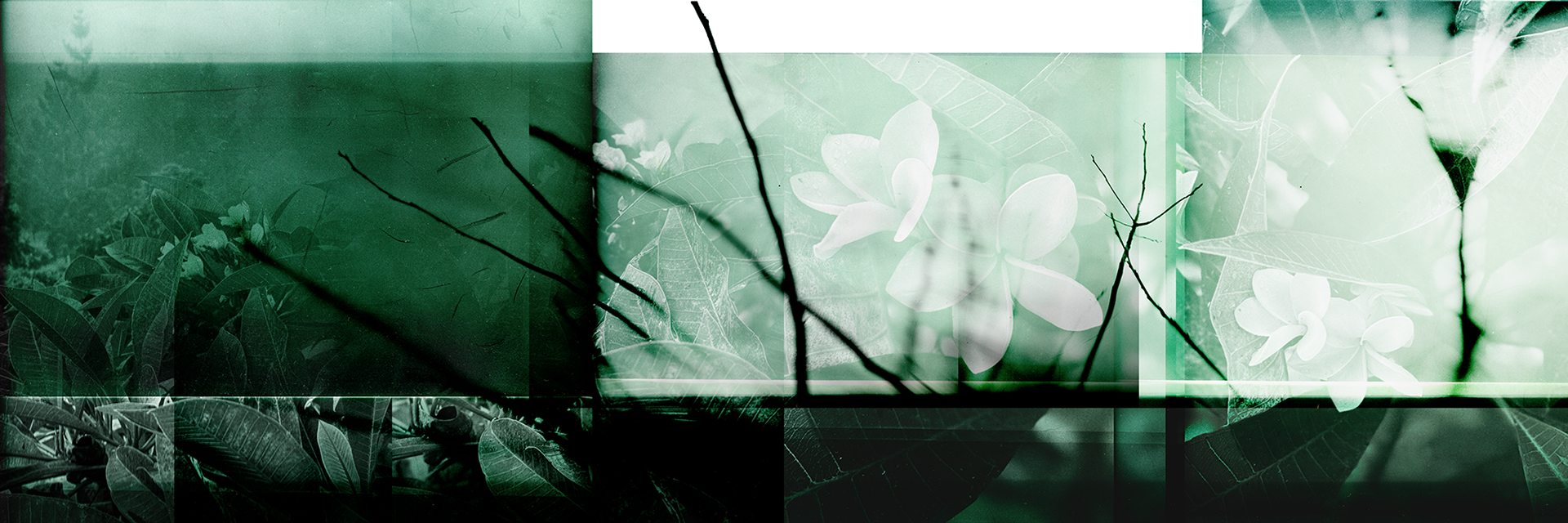 © simon brewster 2025