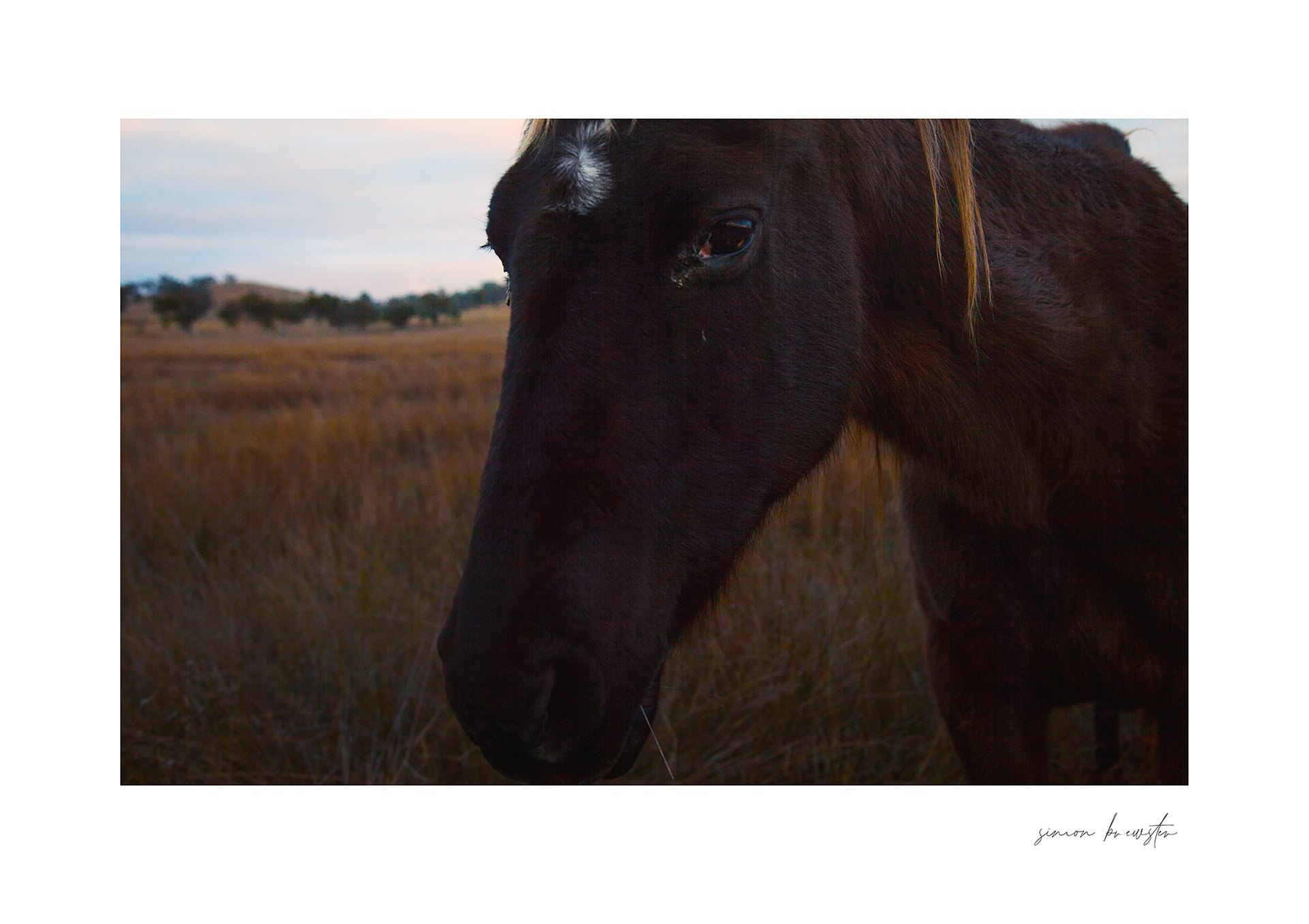 © simon brewster 2025