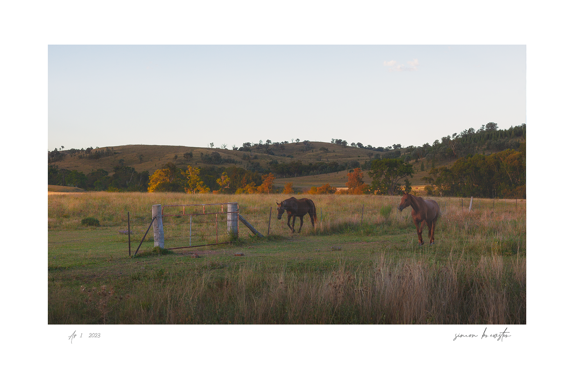 © simon brewster 2025