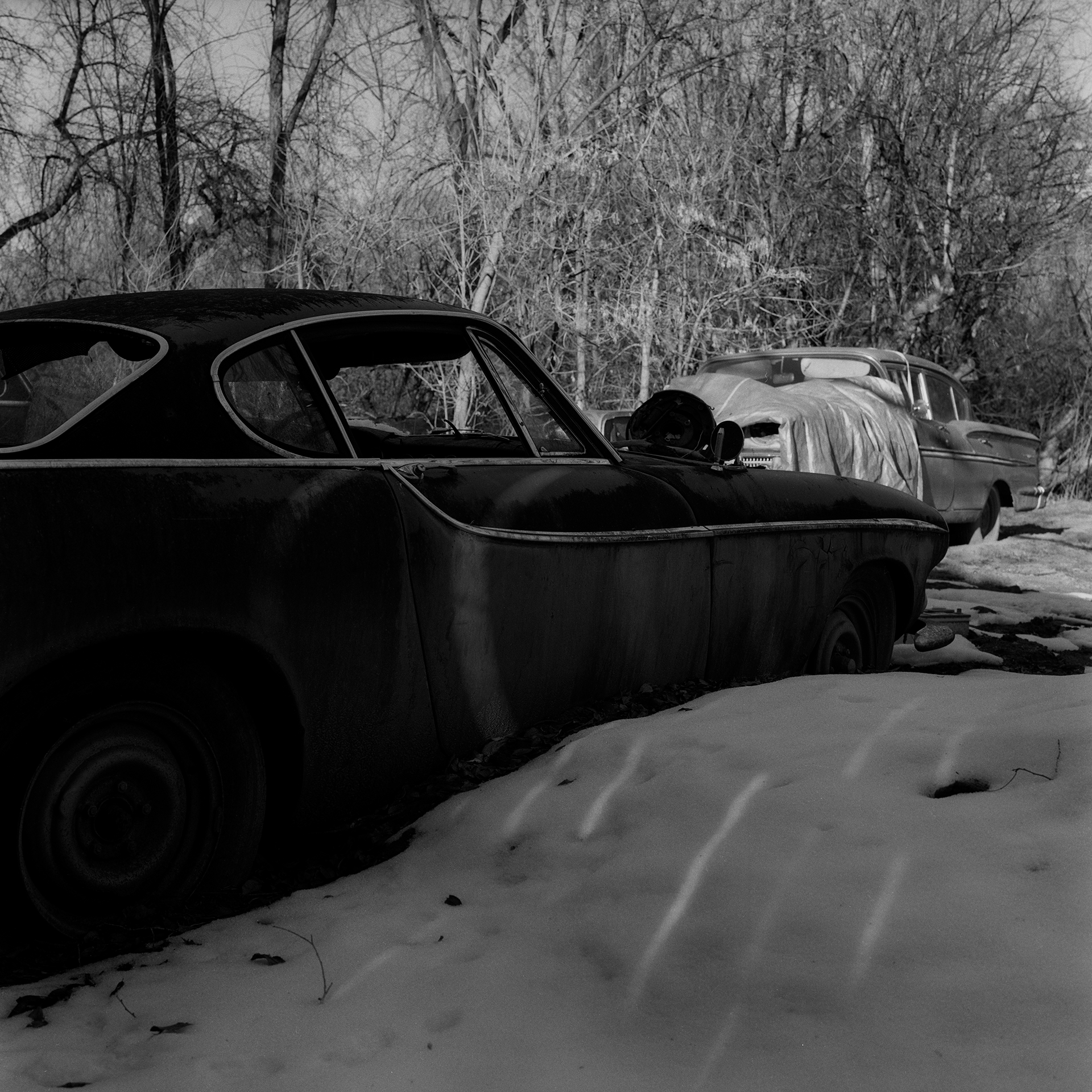 © simon brewster 2023