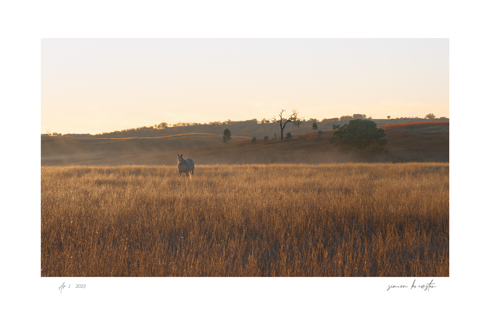 © simon brewster 2025