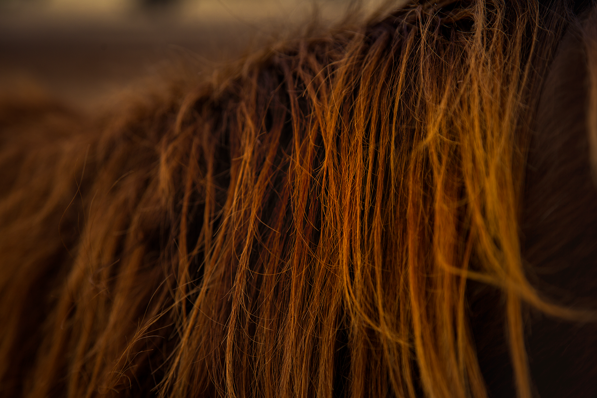 © simon brewster 2026