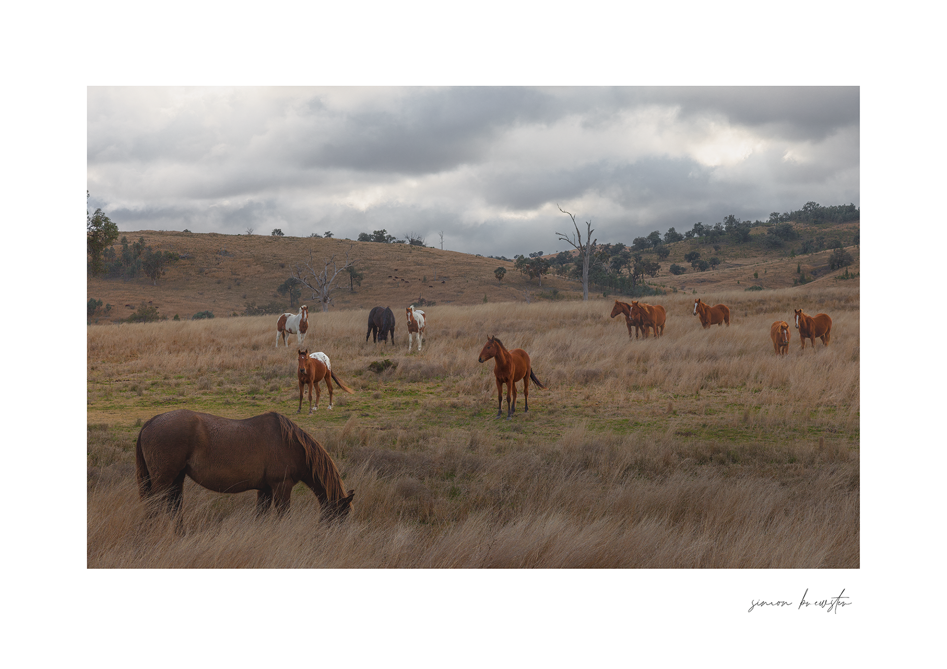 © simon brewster 2025