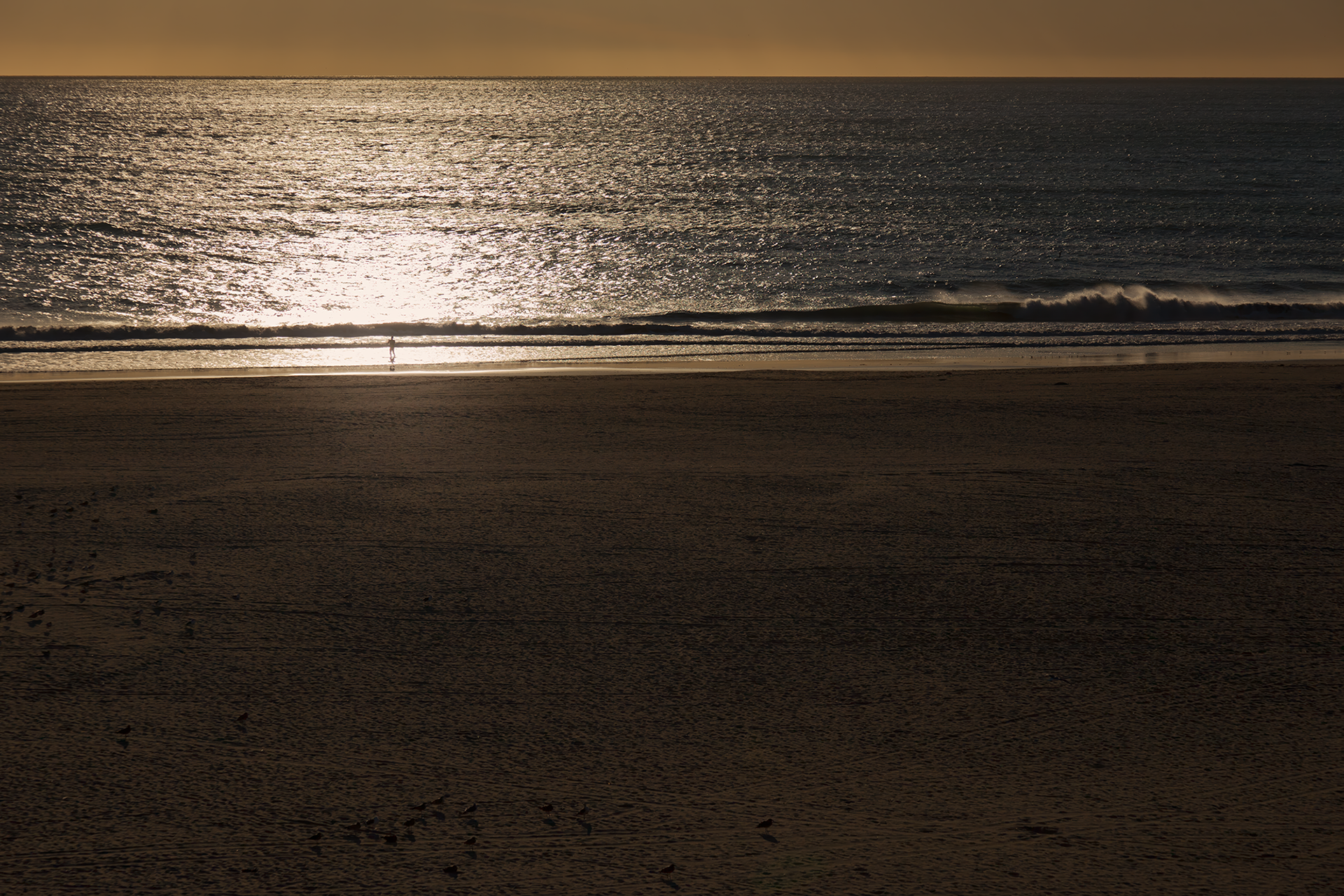 © simon brewster 2024