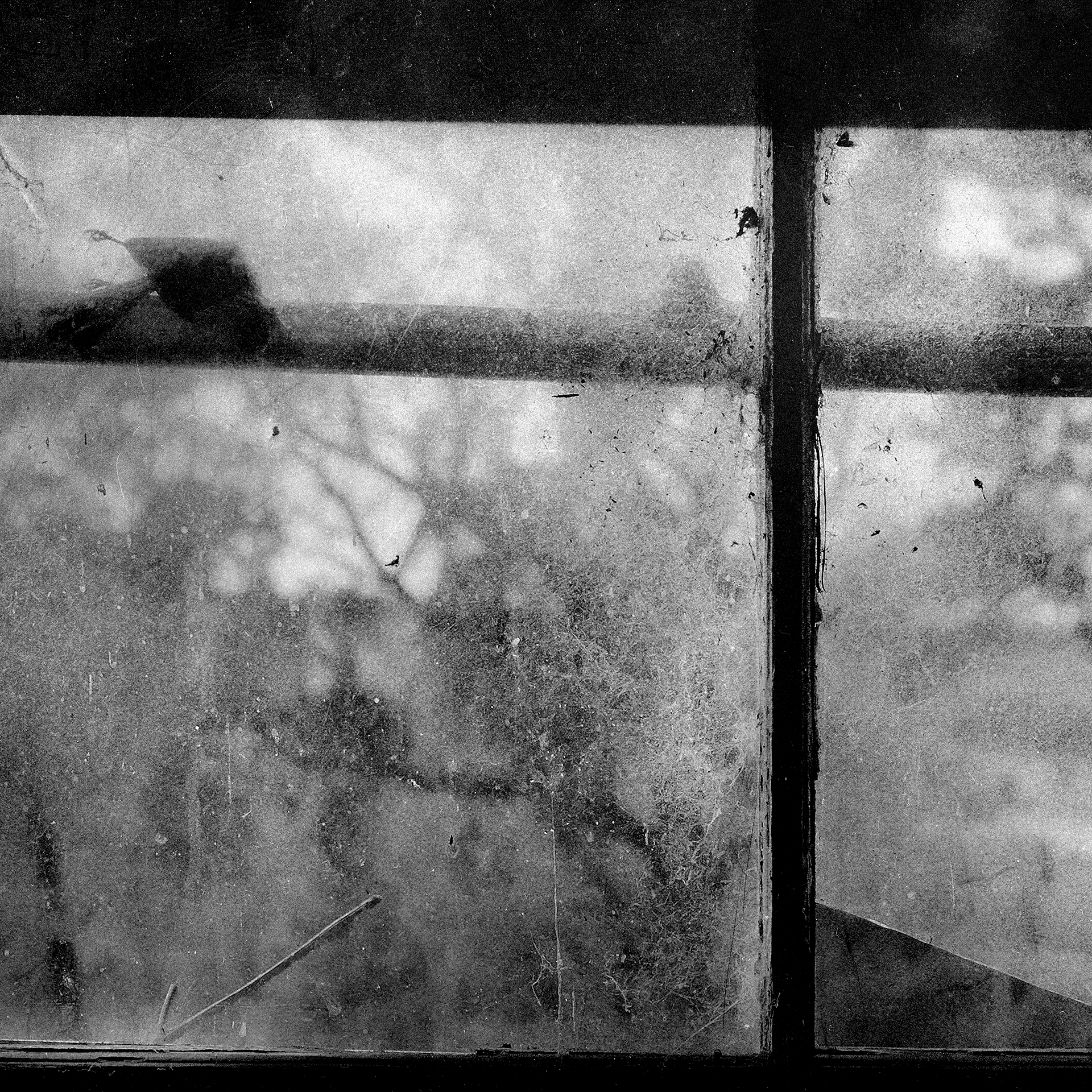 © simon brewster 2023