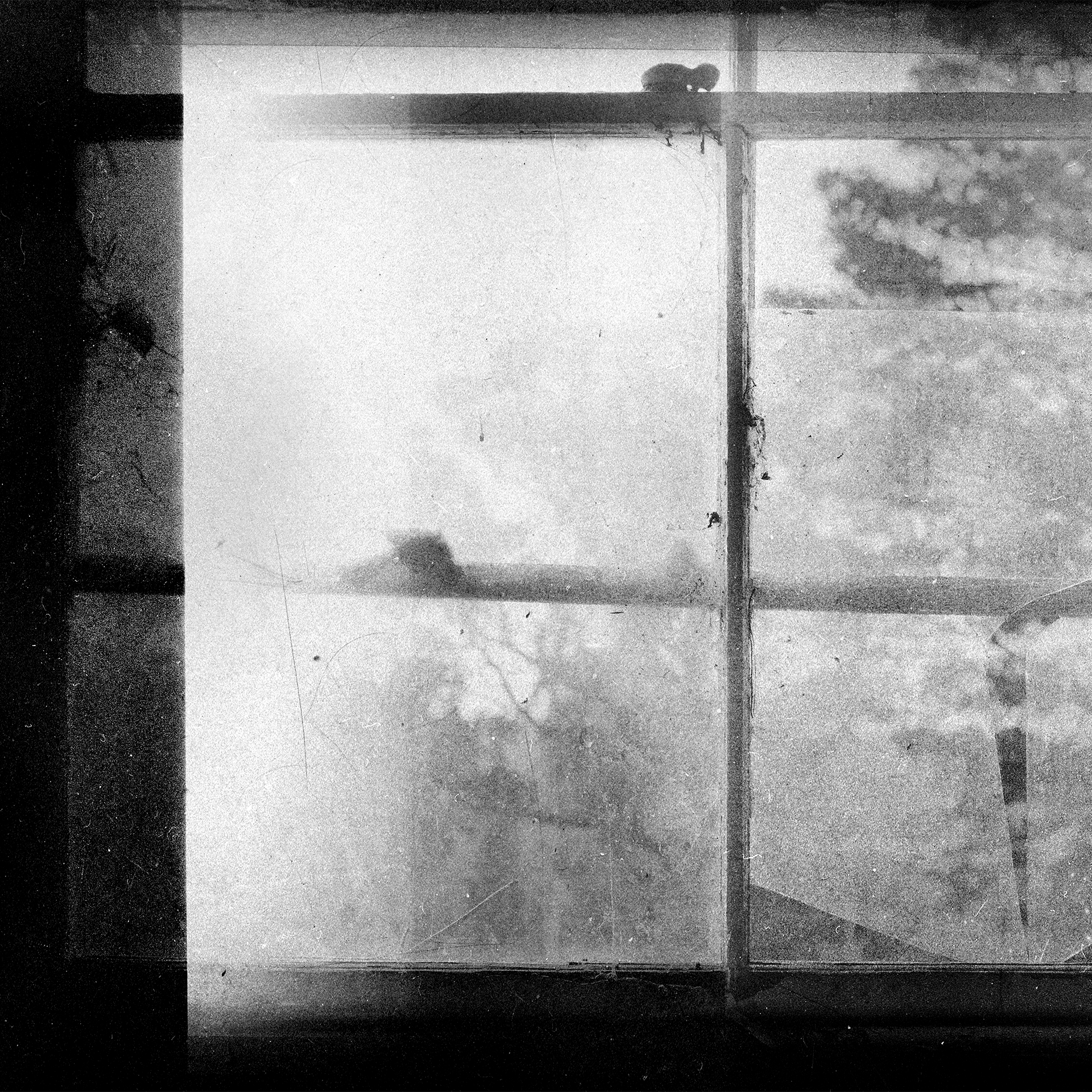 © simon brewster 2023
