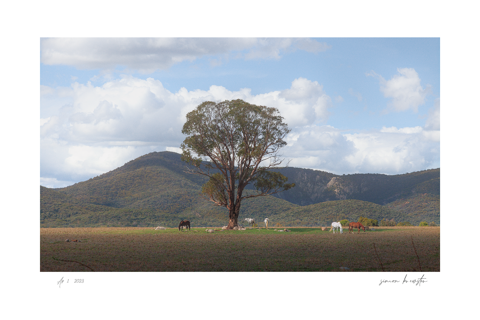 © simon brewster 2025