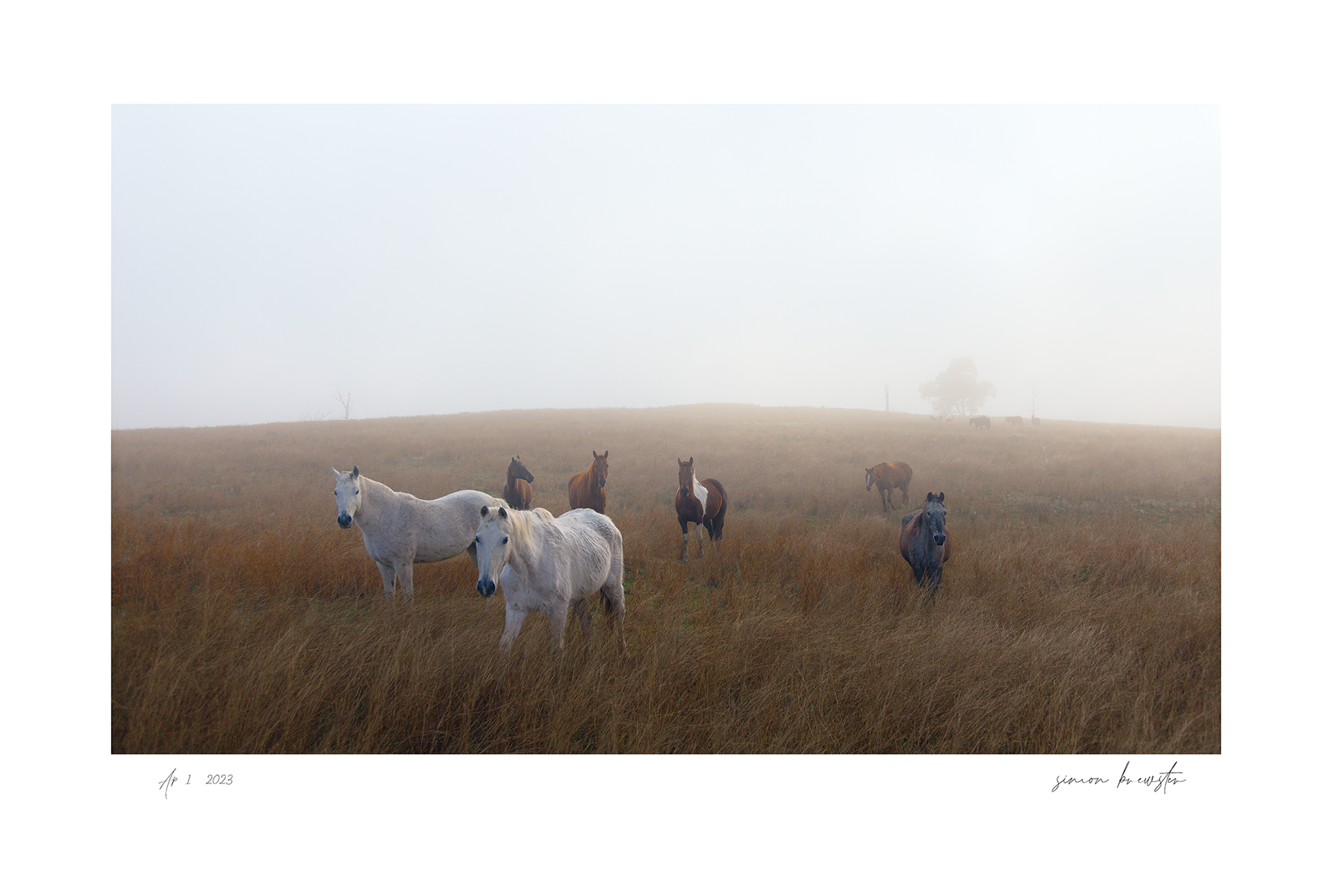 © simon brewster 2025