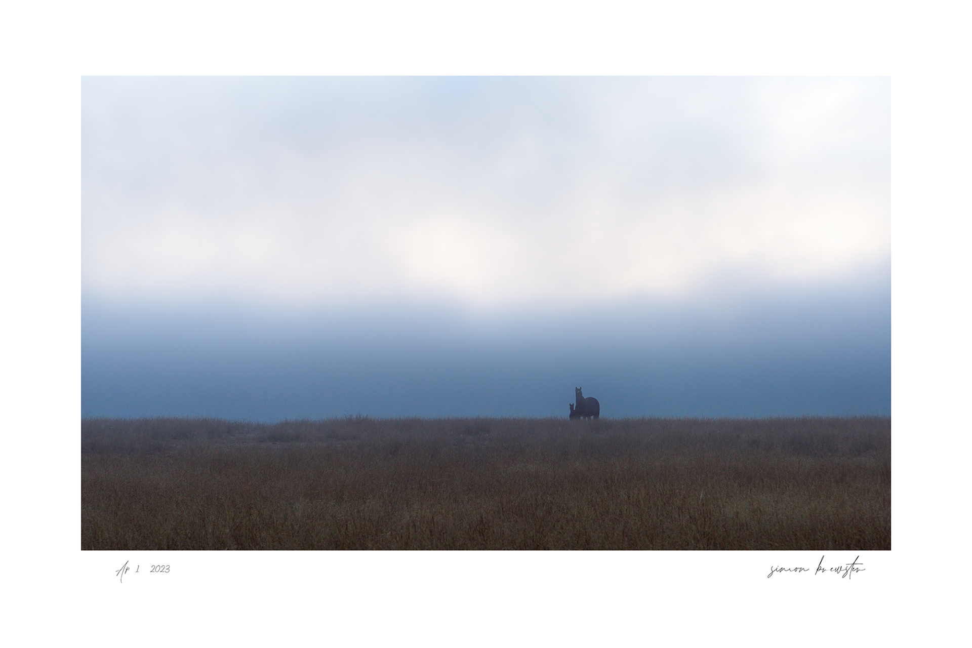 © simon brewster 2025
