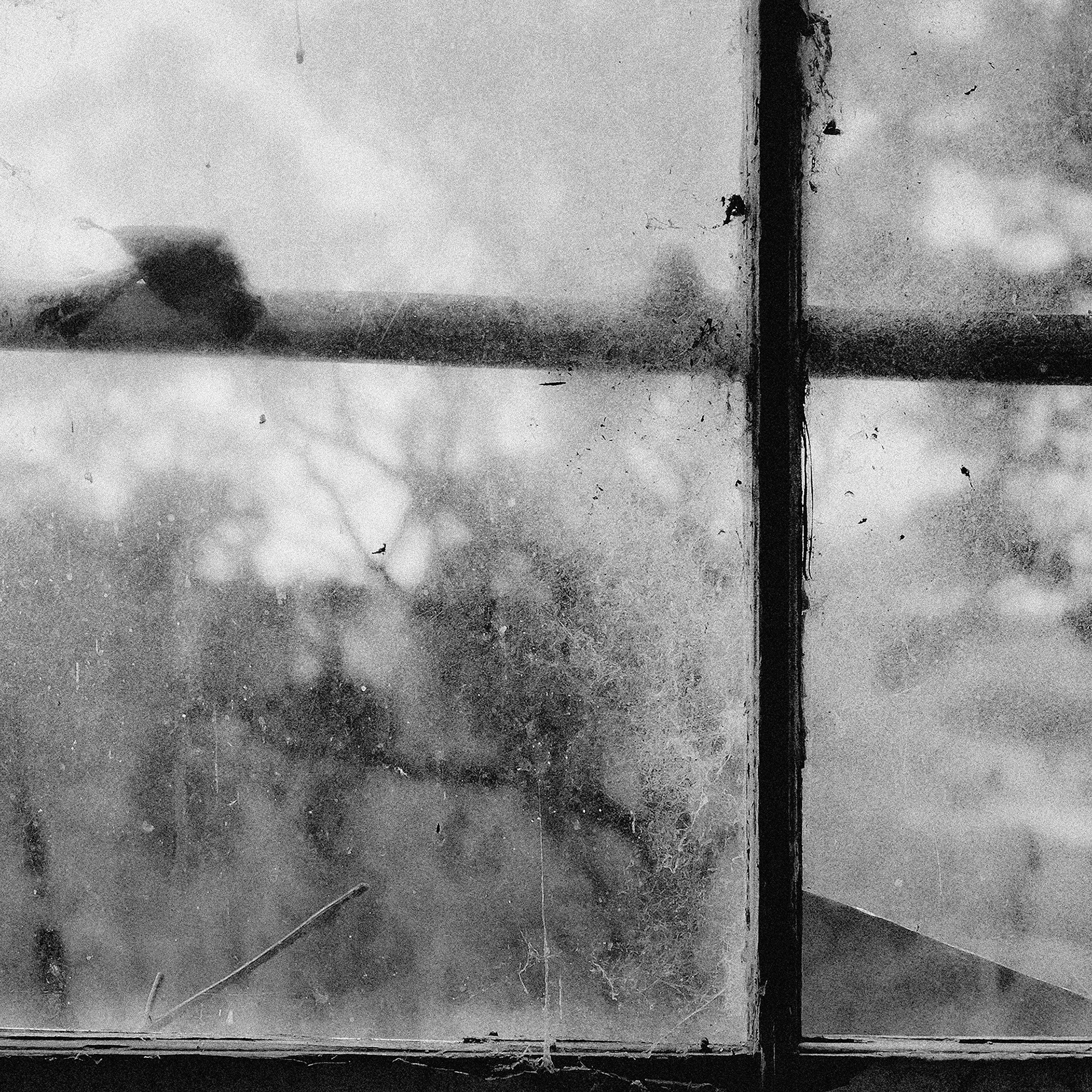 © simon brewster 2026