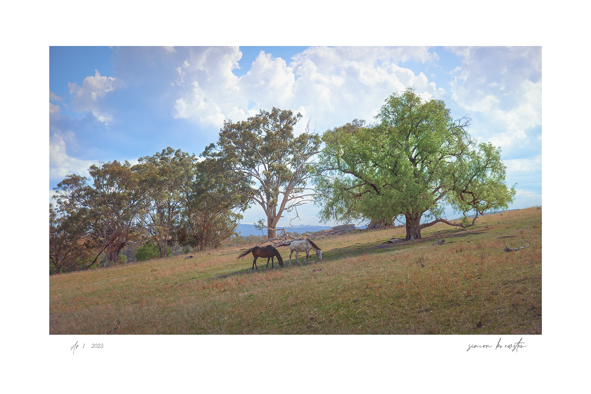 © simon brewster 2025