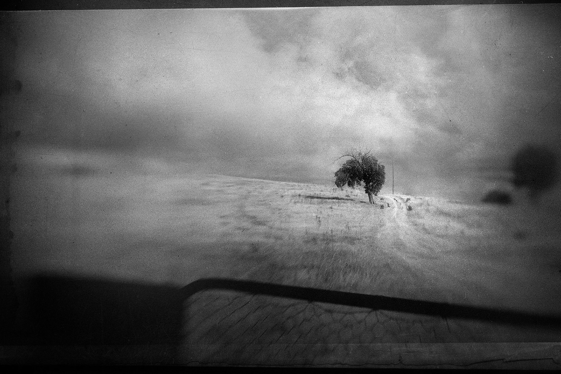 © simon brewster 2021