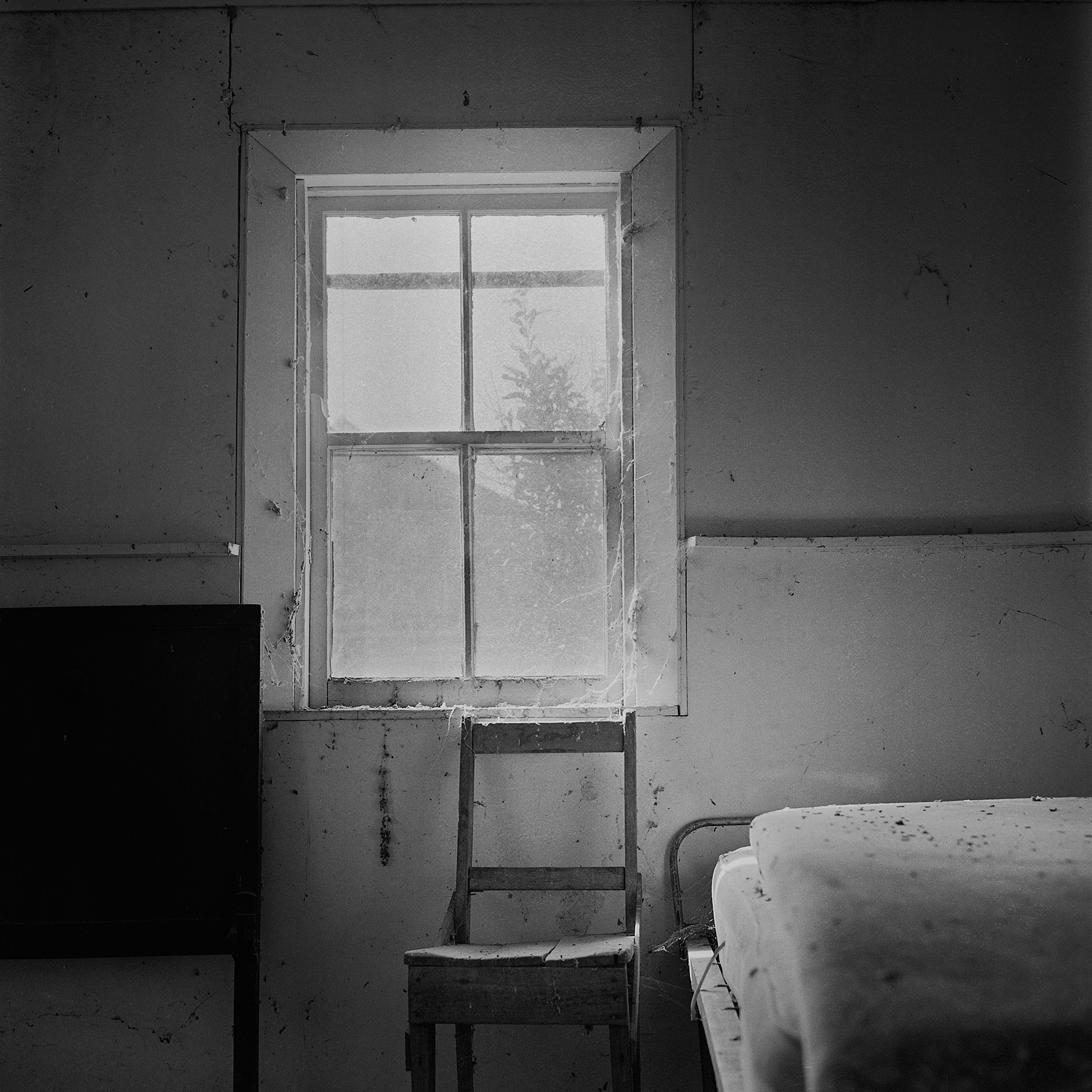© simon brewster 2023