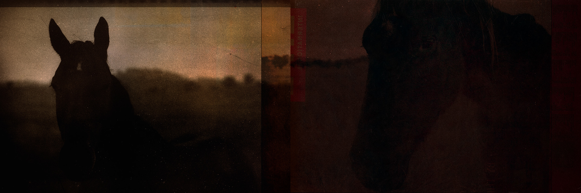 © simon brewster 2020