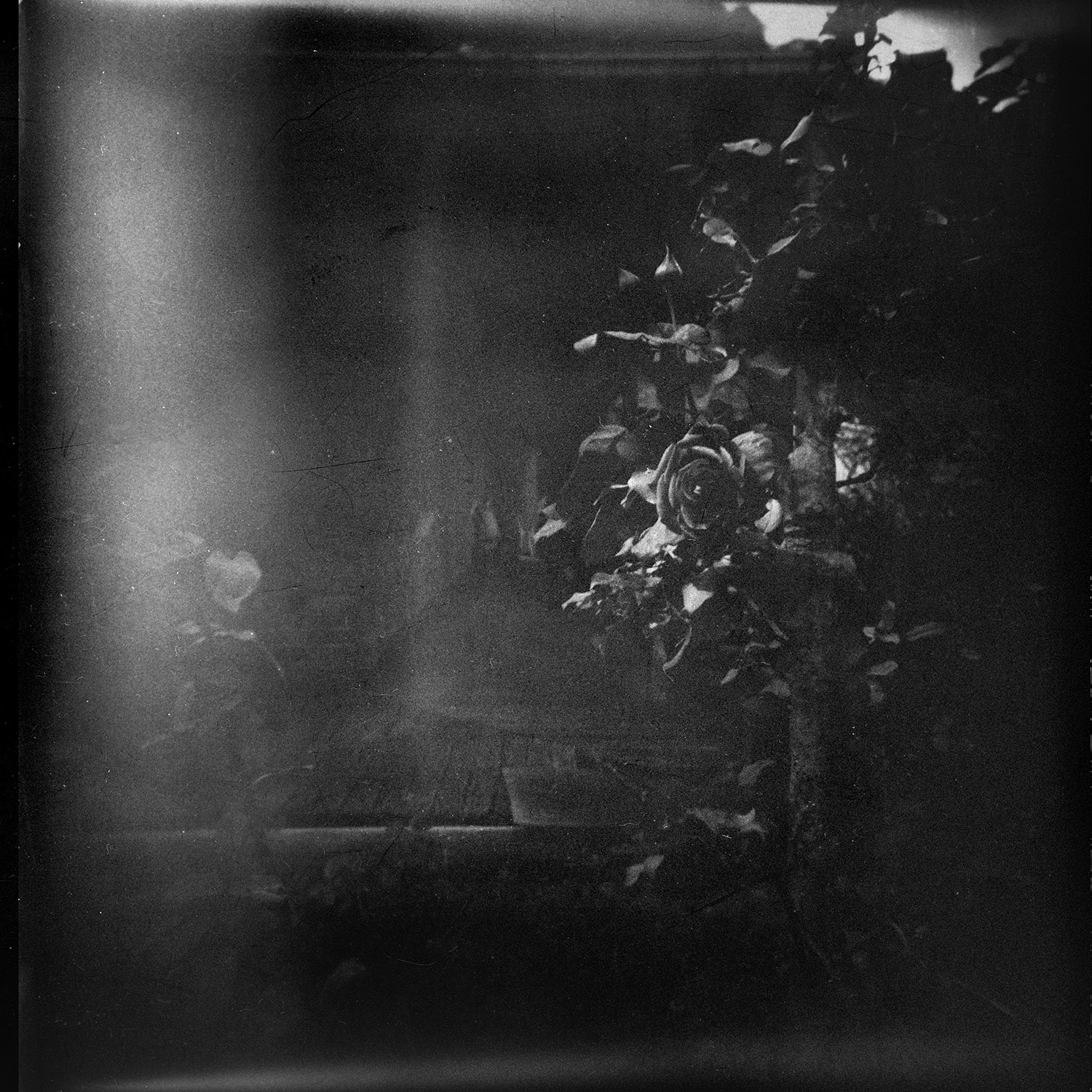 © simon brewster 2021