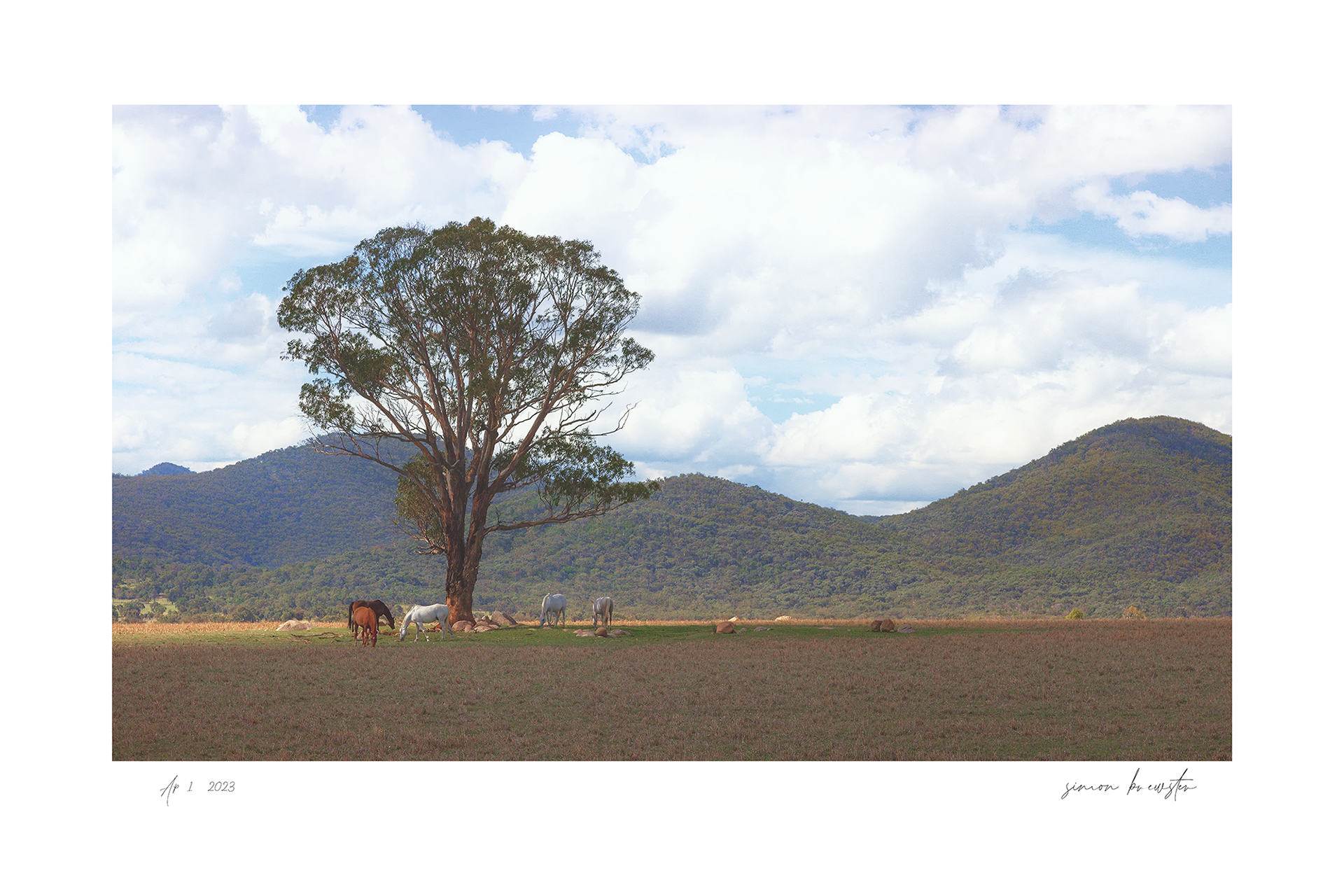 © simon brewster 2025