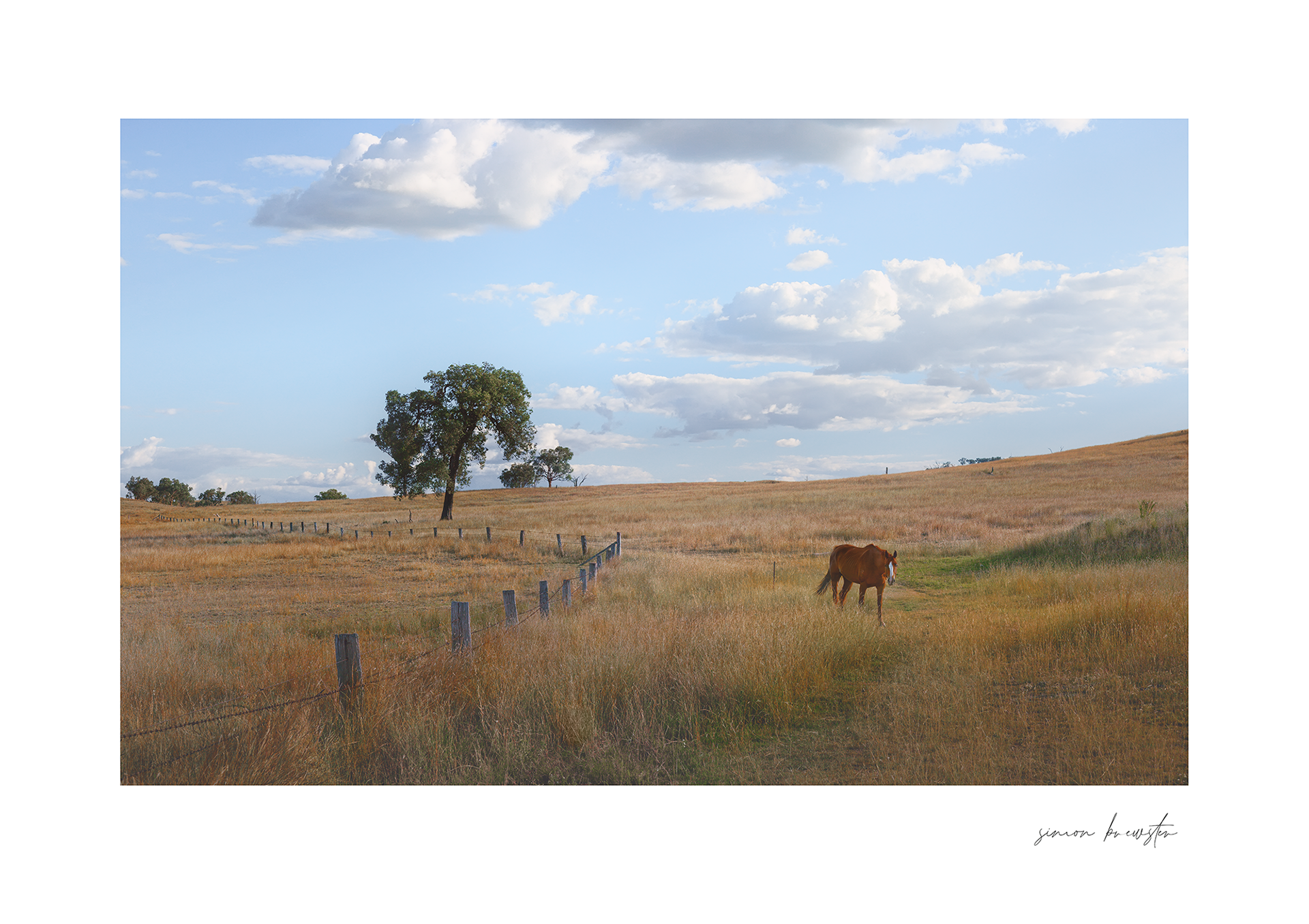 © simon brewster 2025