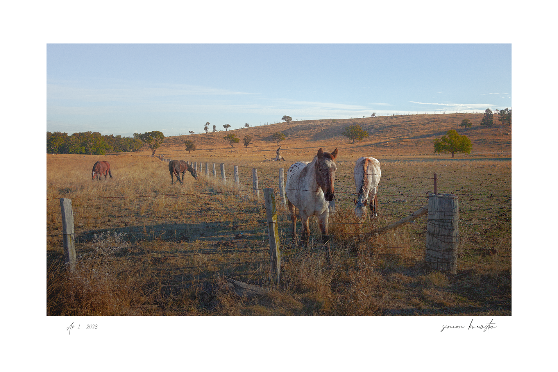 © simon brewster 2025