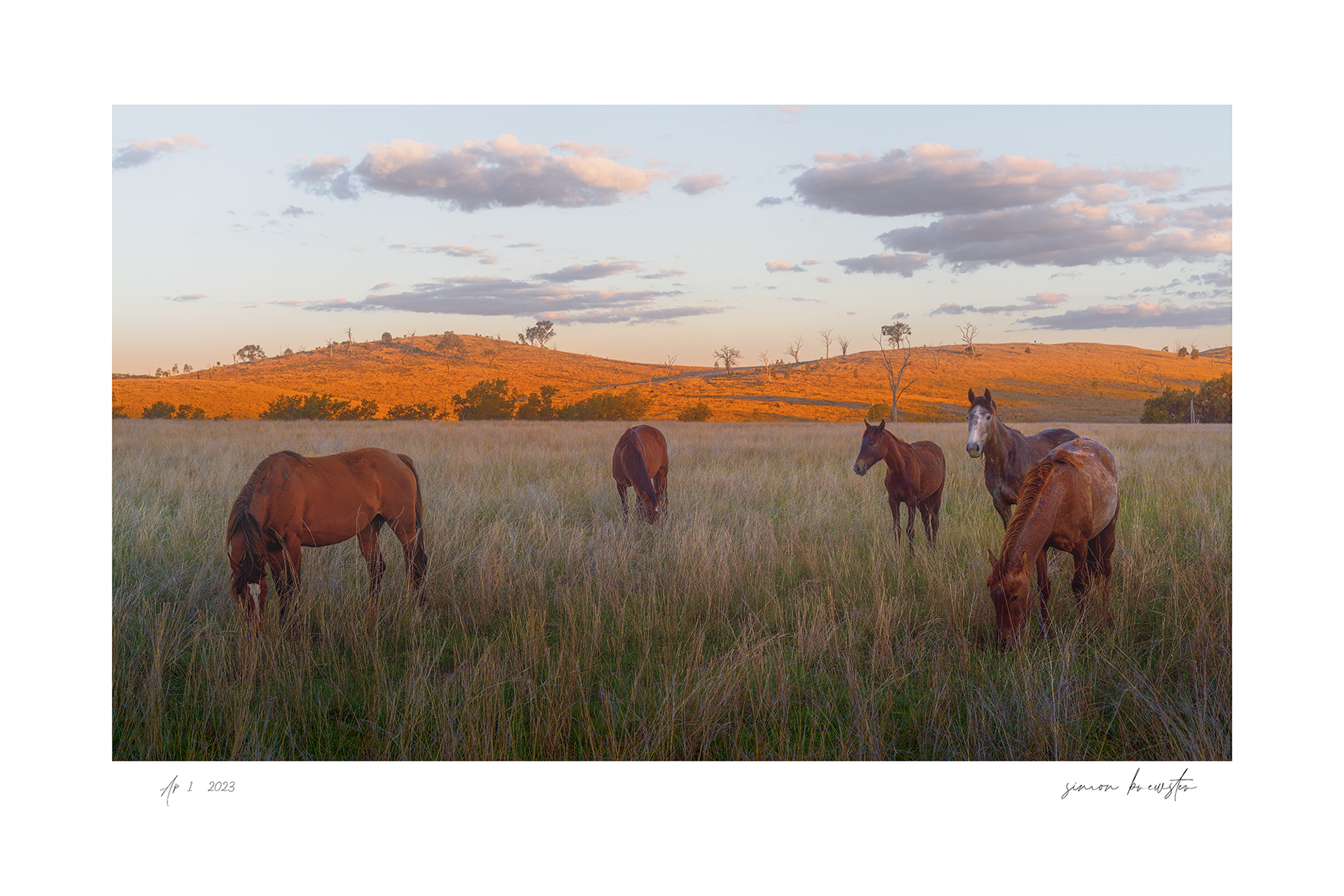 © simon brewster 2025