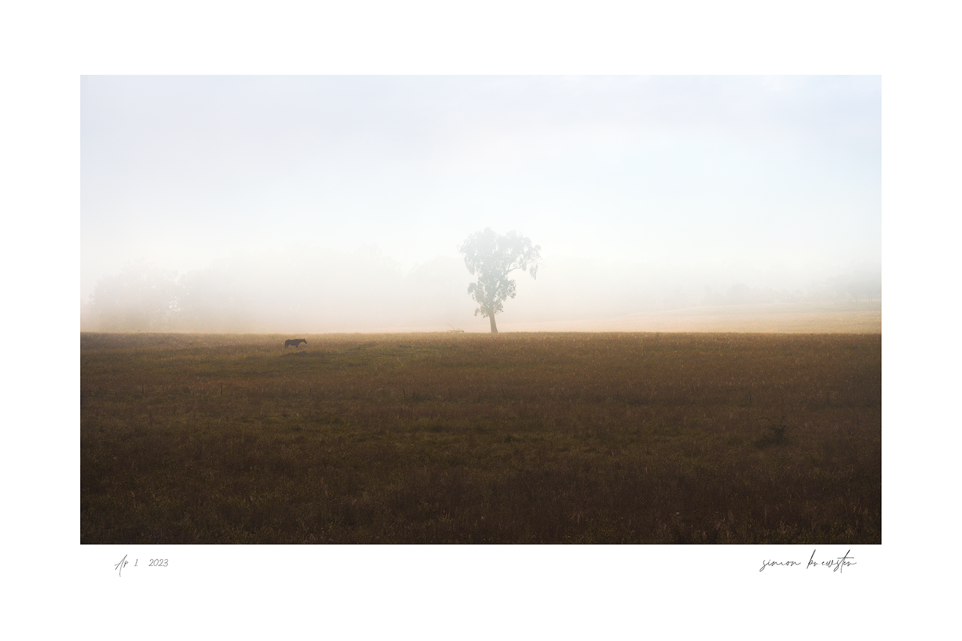© simon brewster 2025