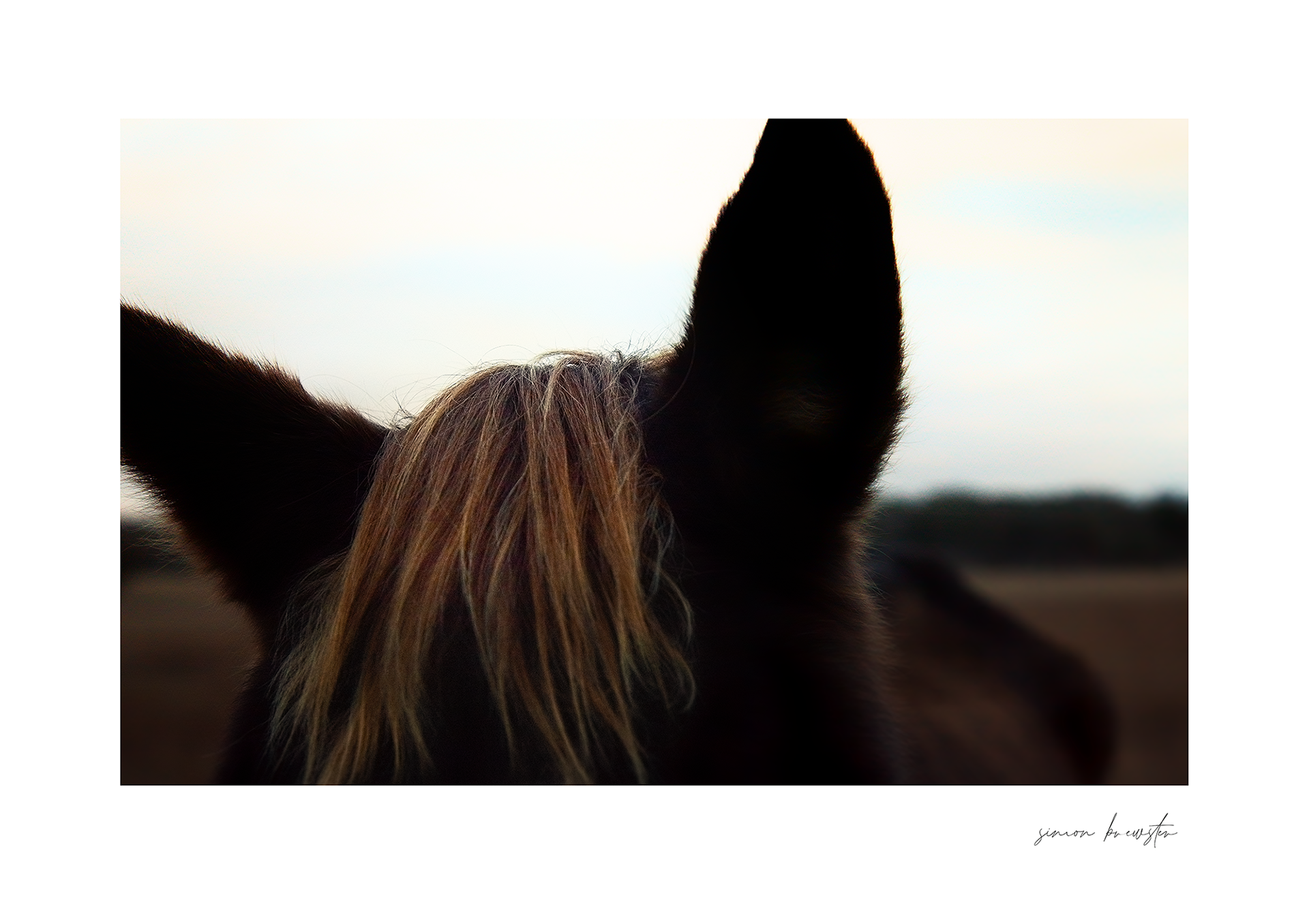 © simon brewster 2025