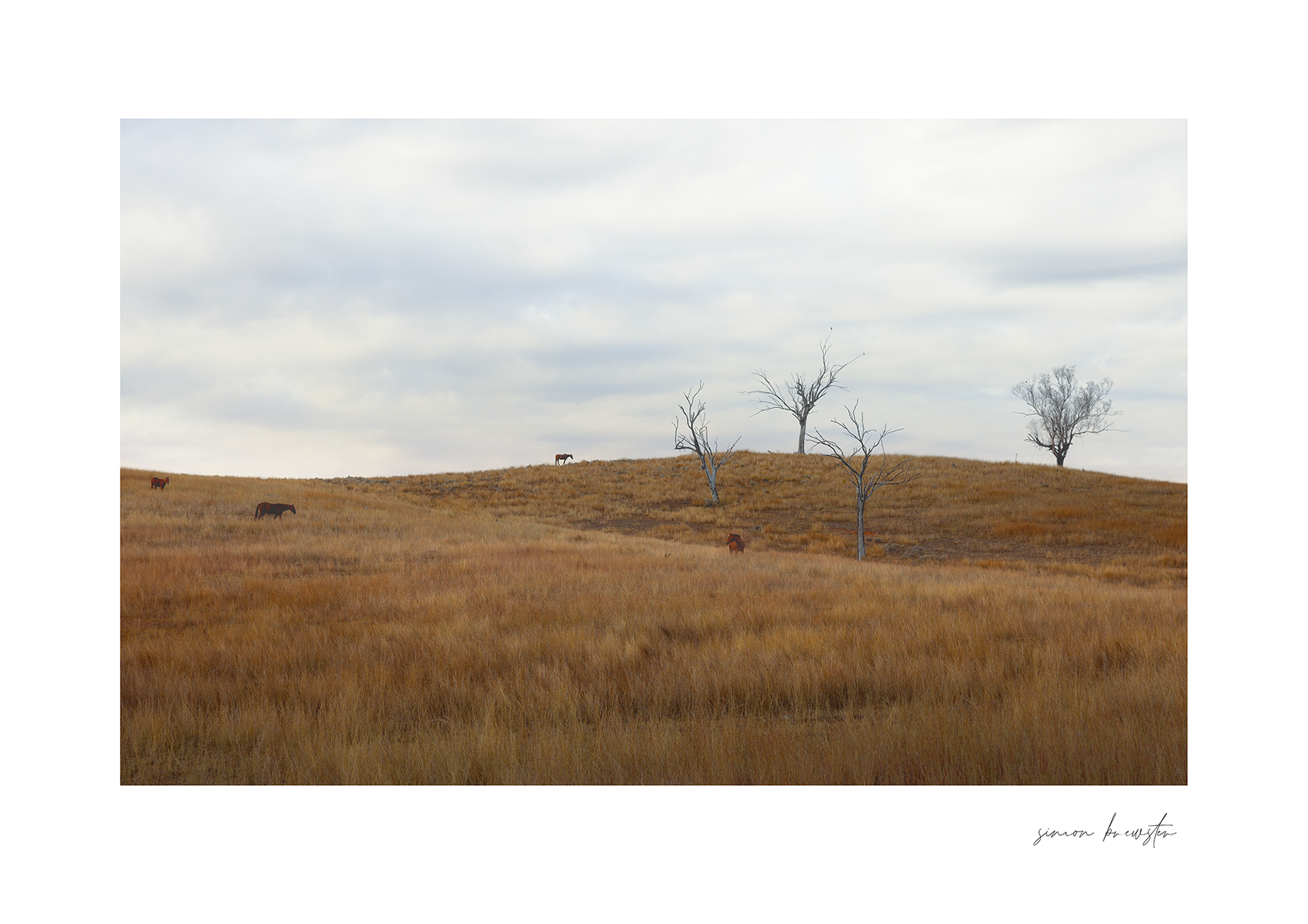 © simon brewster 2025