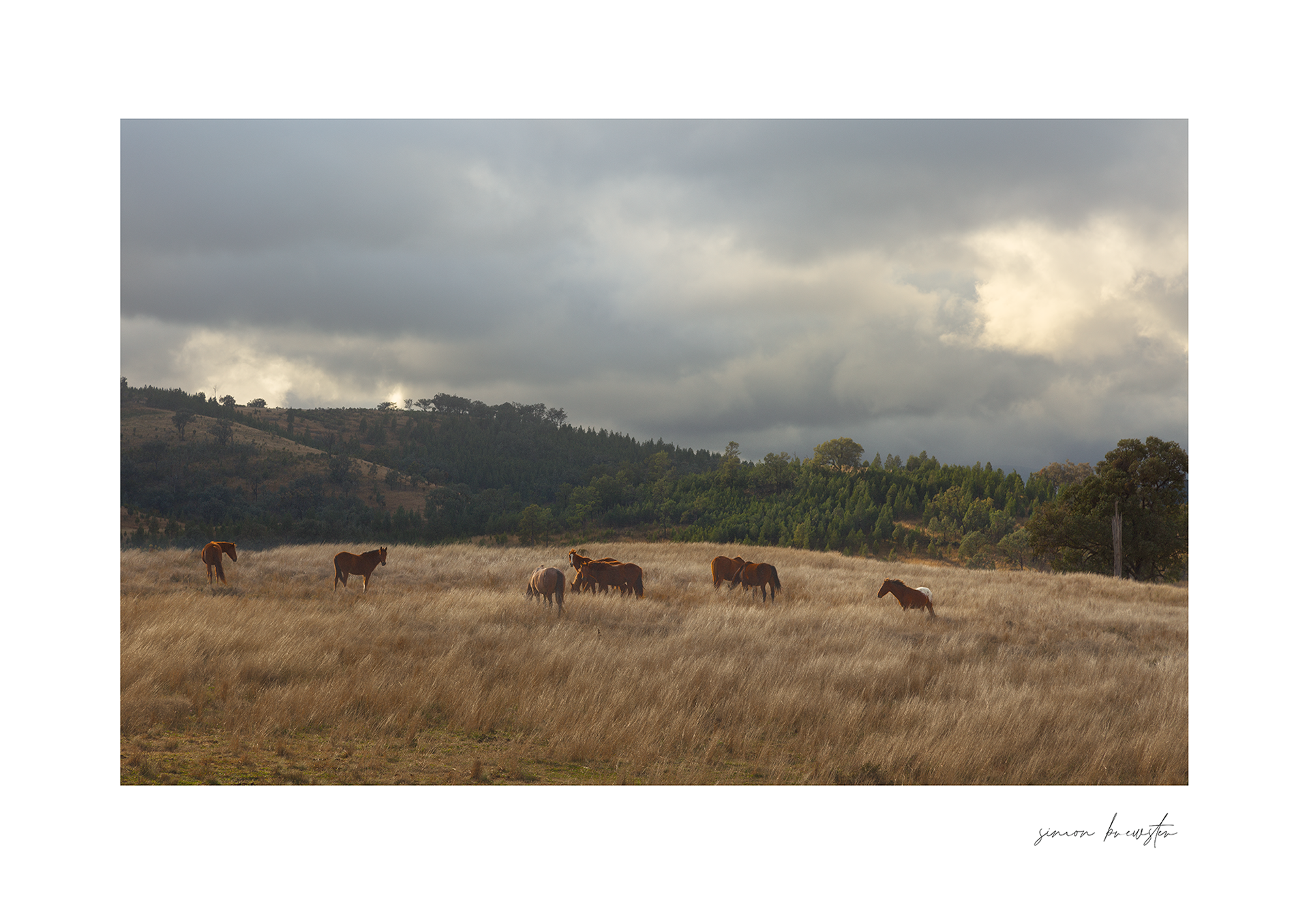 © simon brewster 2025