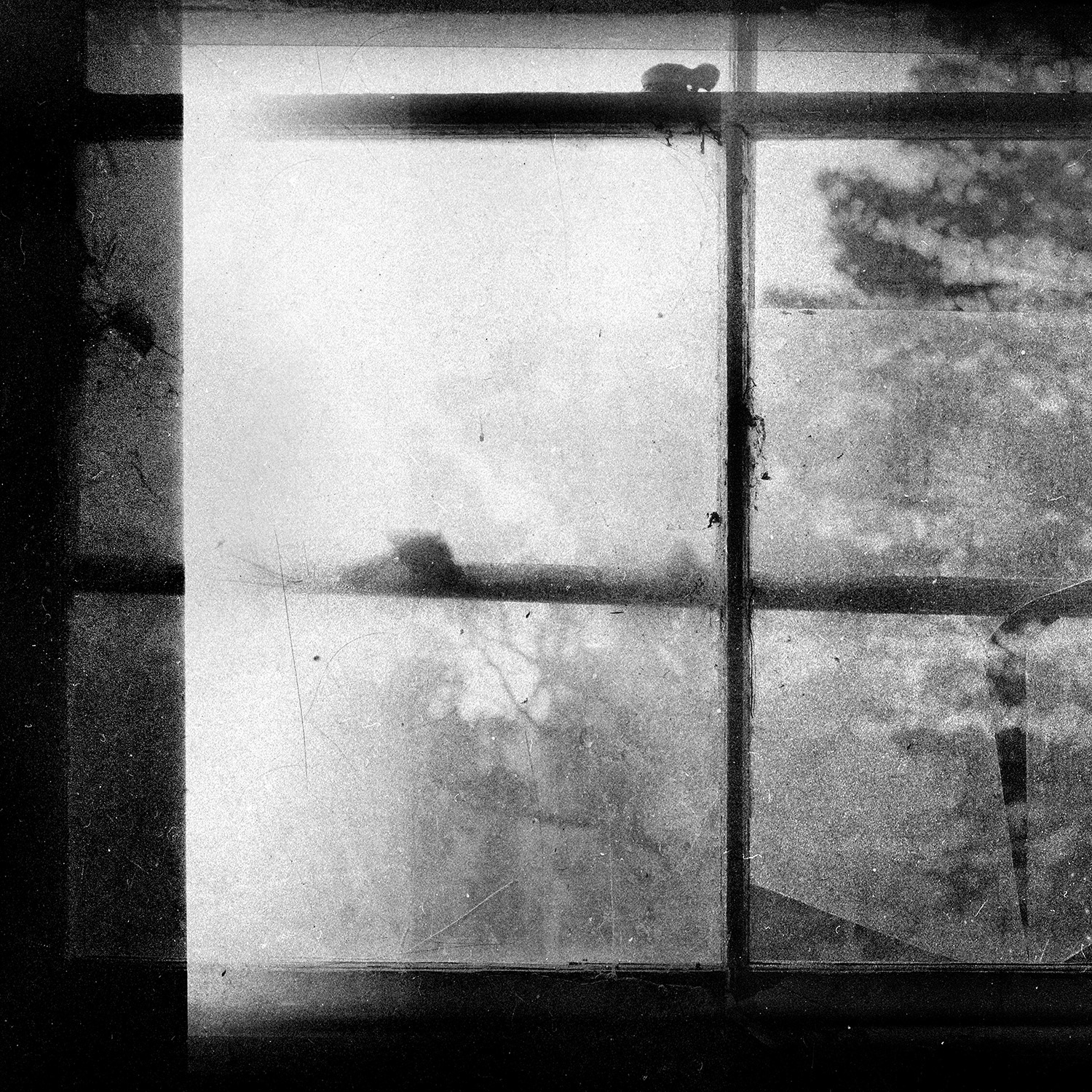 © simon brewster 2021