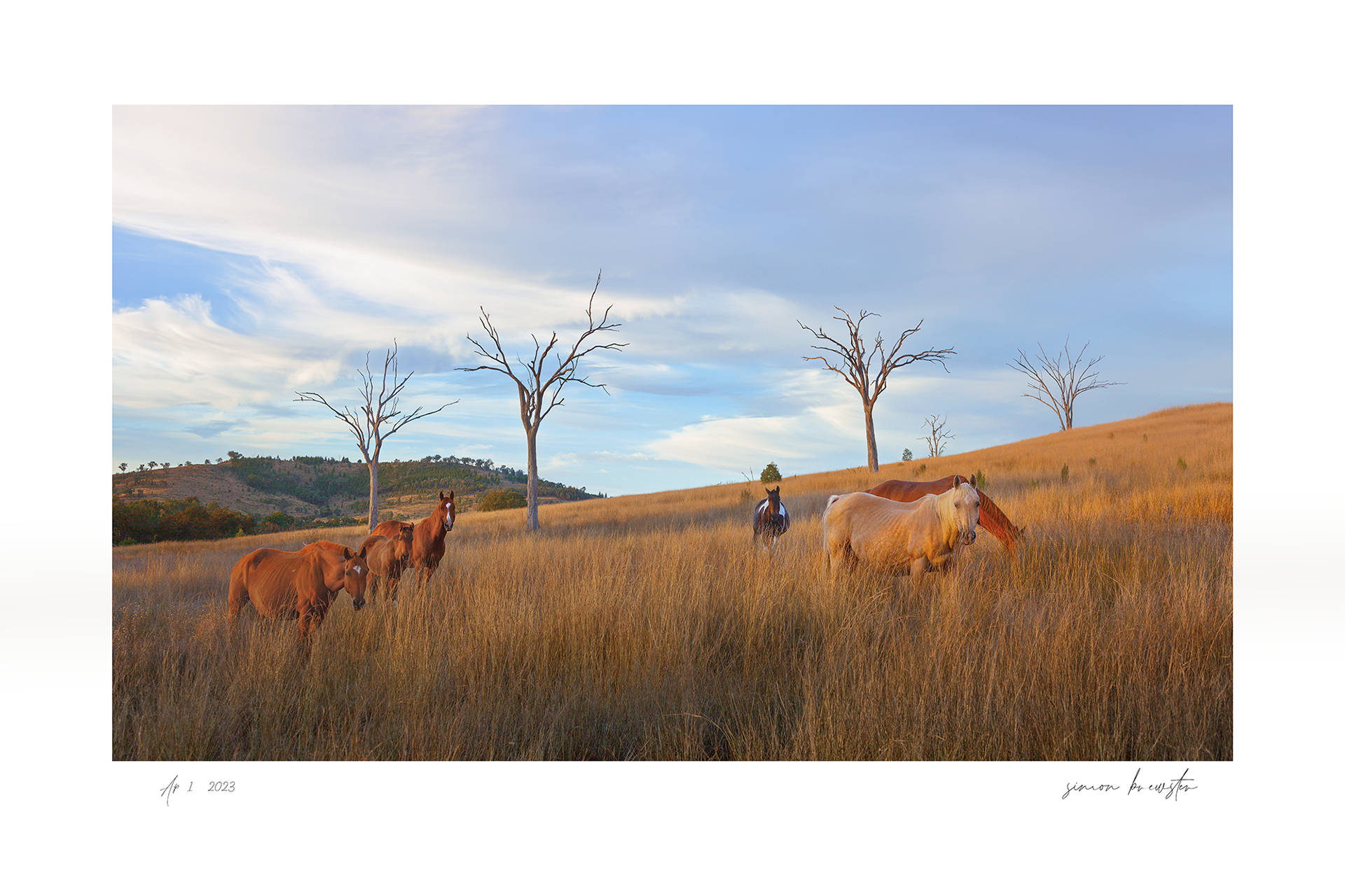 © simon brewster 2025