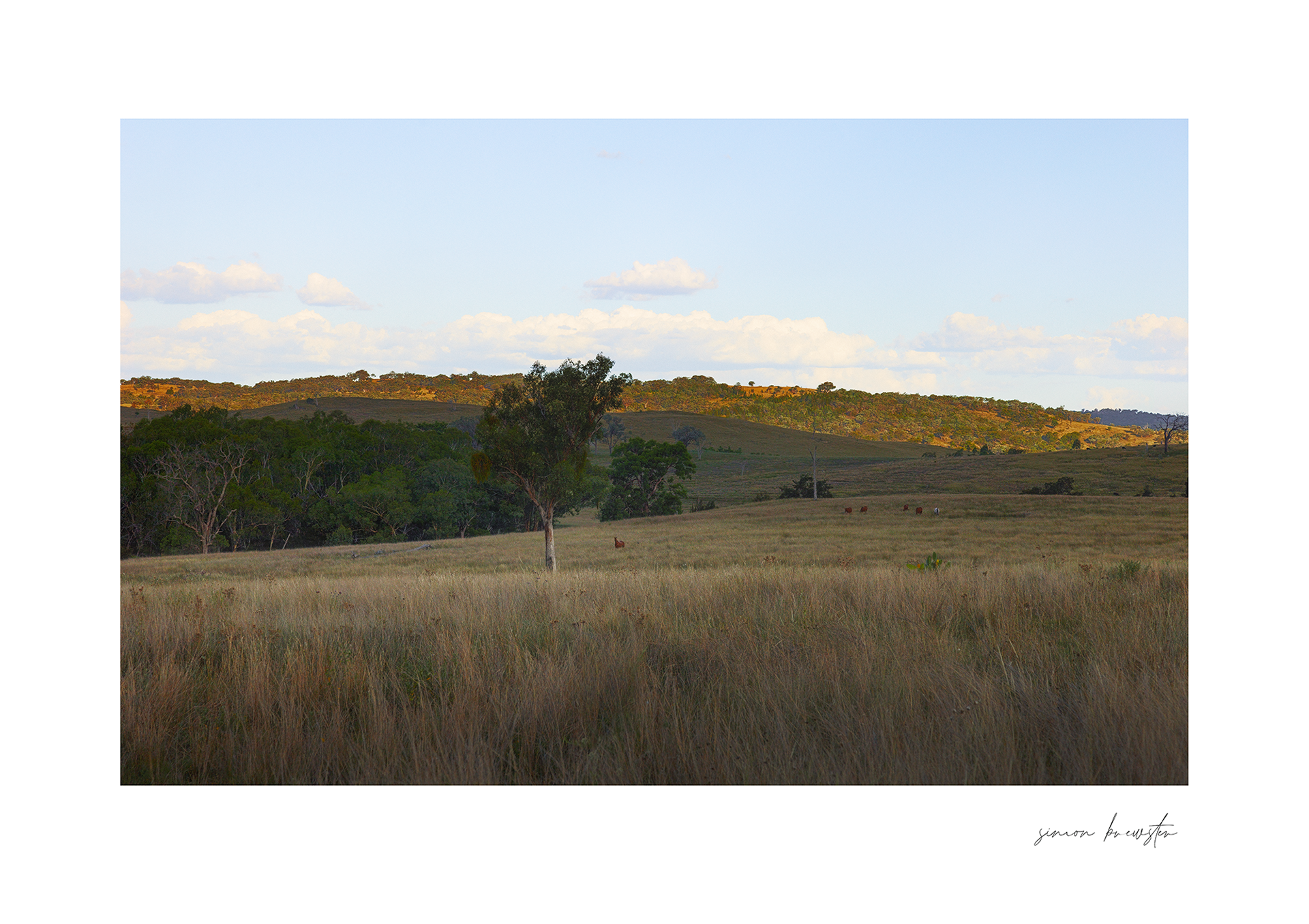 © simon brewster 2025