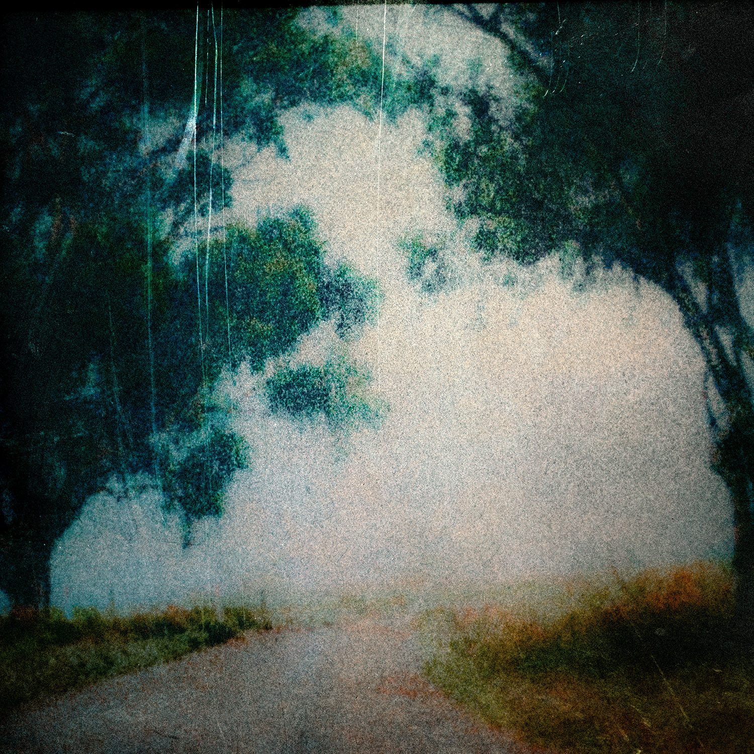 © simon brewster 2021