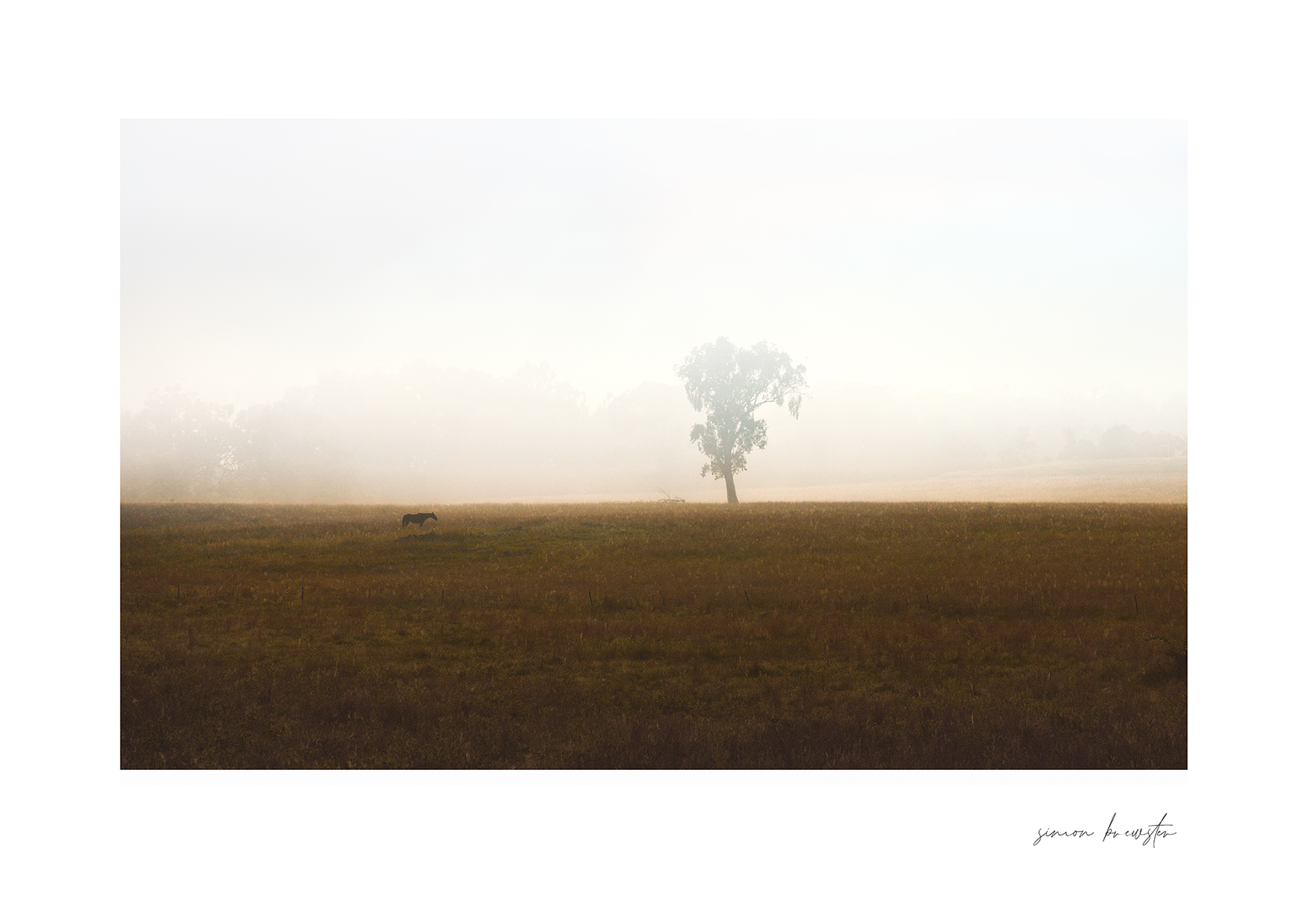 © simon brewster 2025