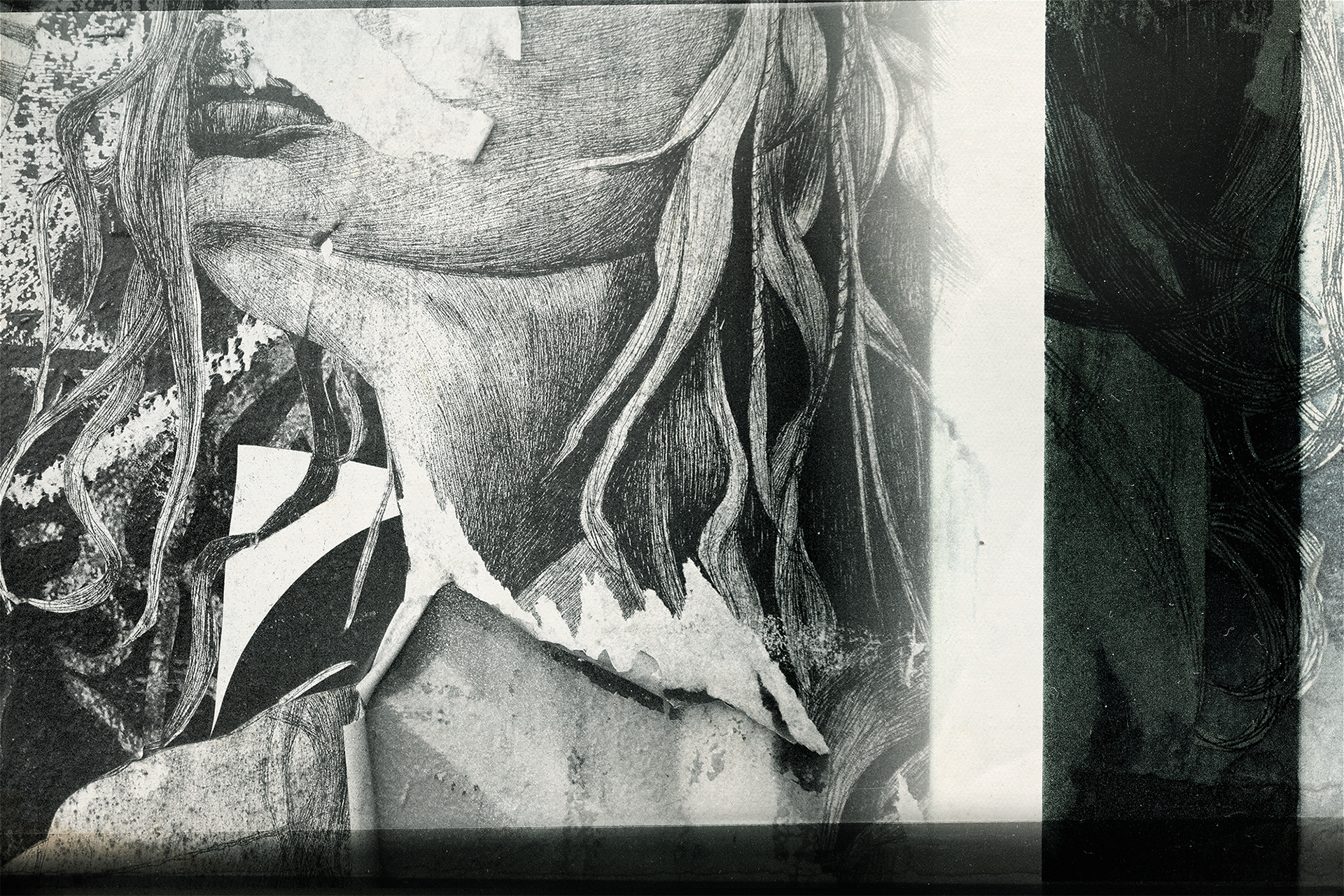 © simon brewster 2026