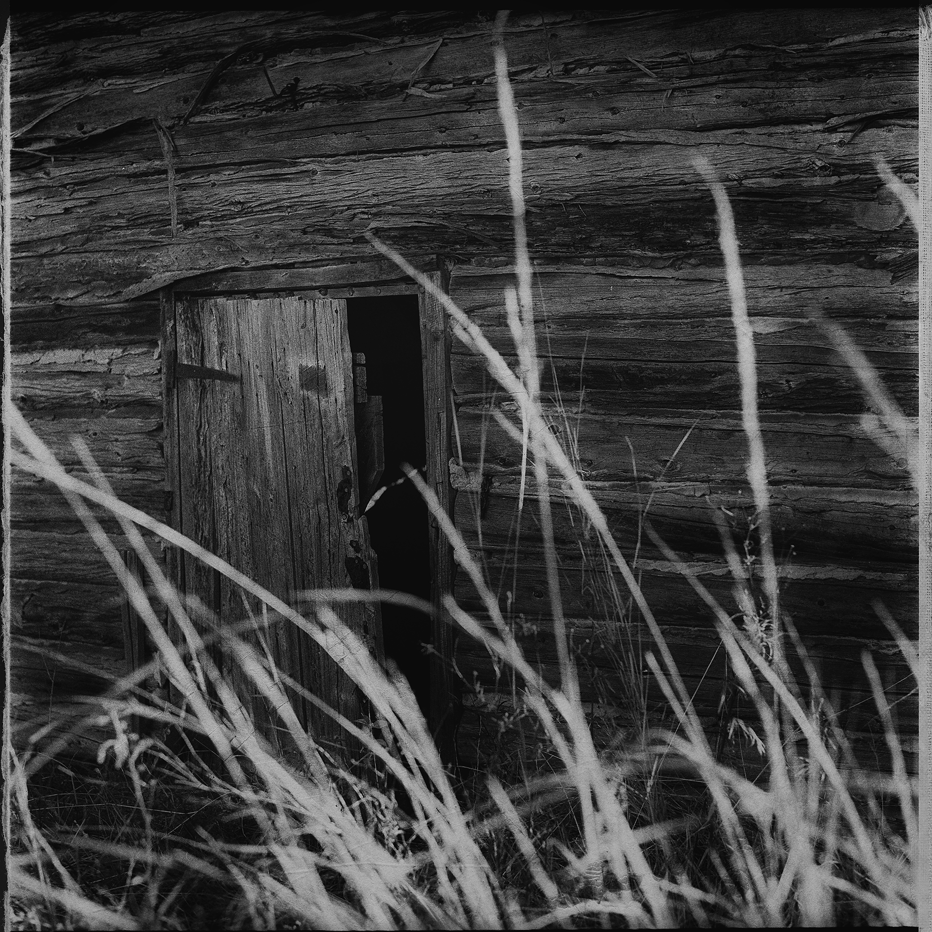 © simon brewster 2023