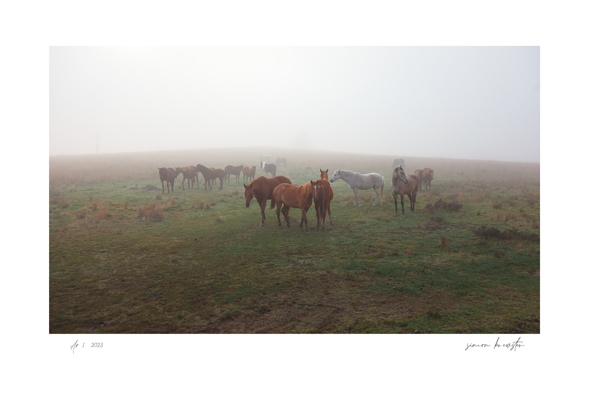 © simon brewster 2025