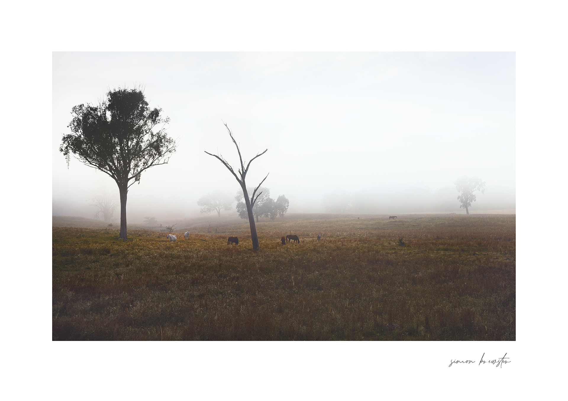 © simon brewster 2025