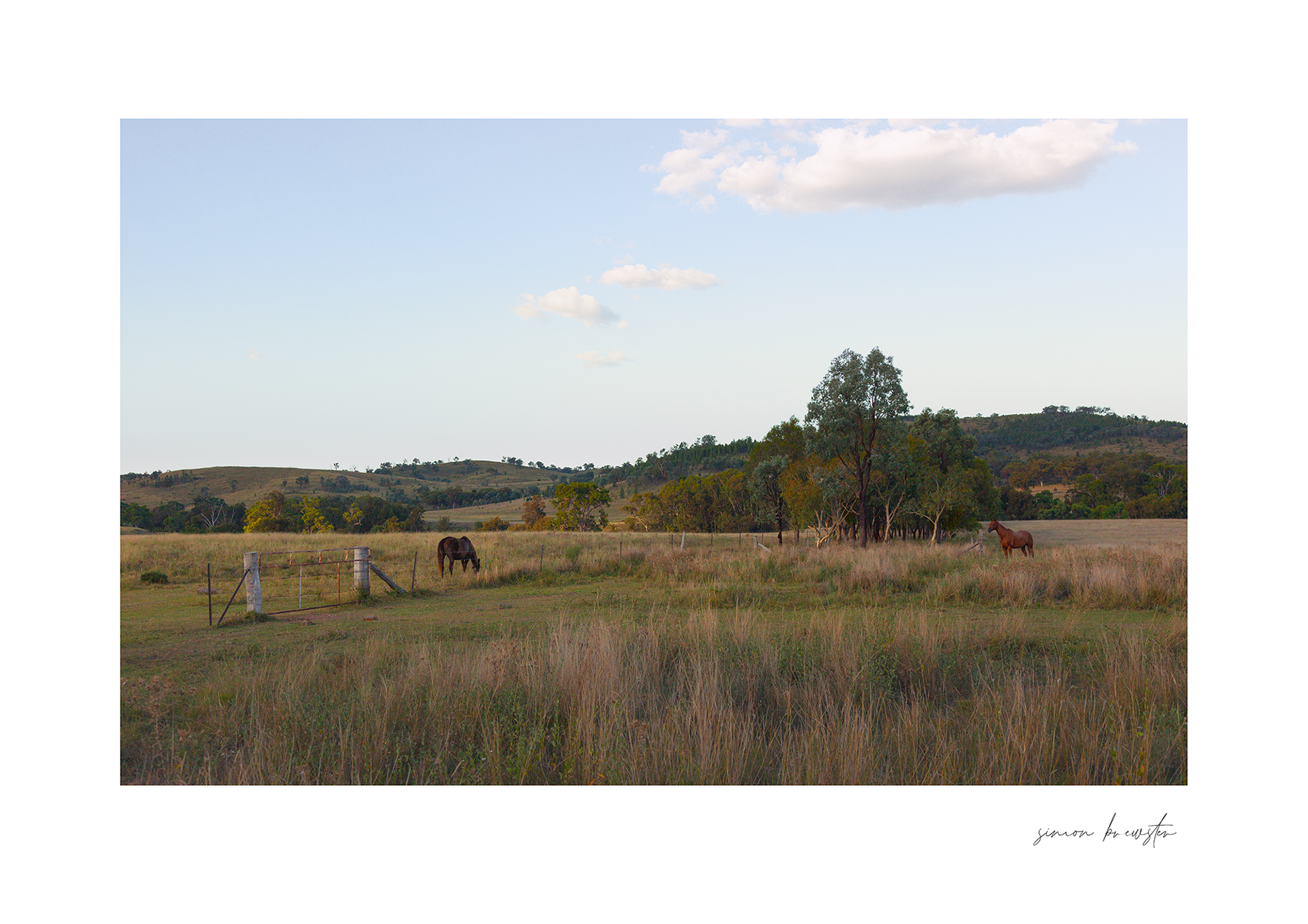 © simon brewster 2025