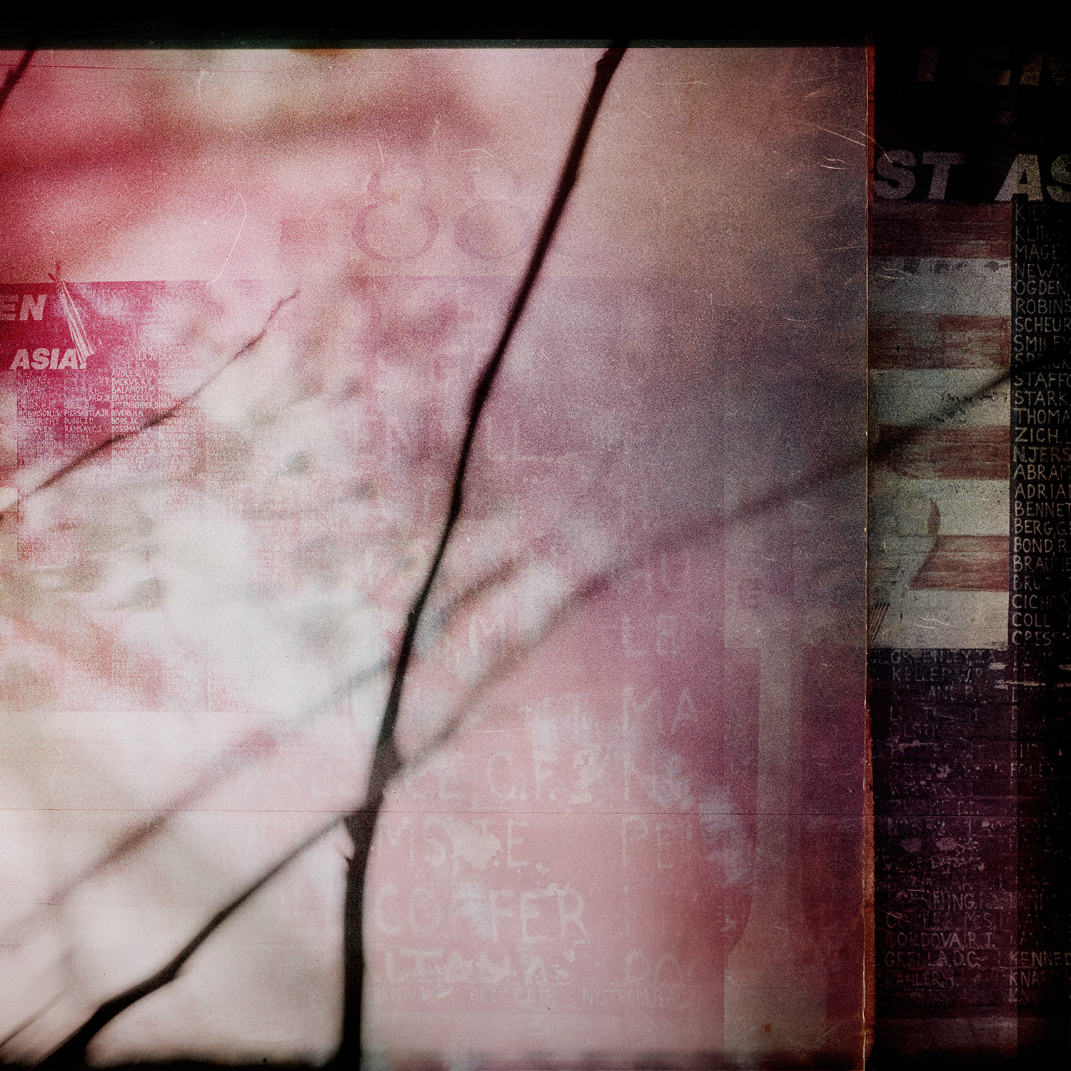 © simon brewster 2021
