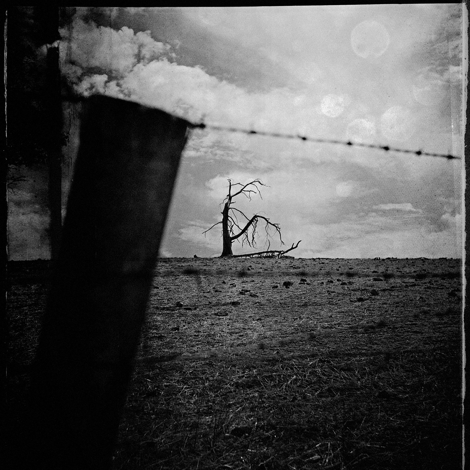 © simon brewster 2021