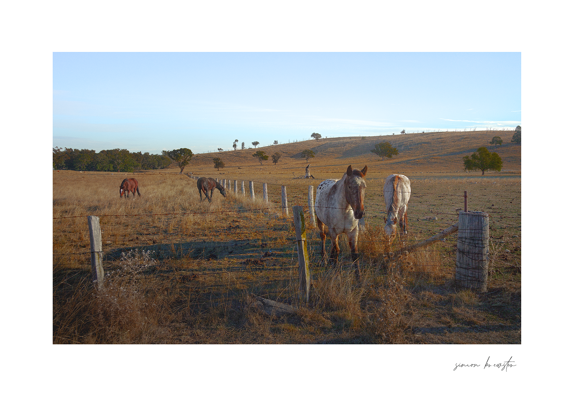 © simon brewster 2025