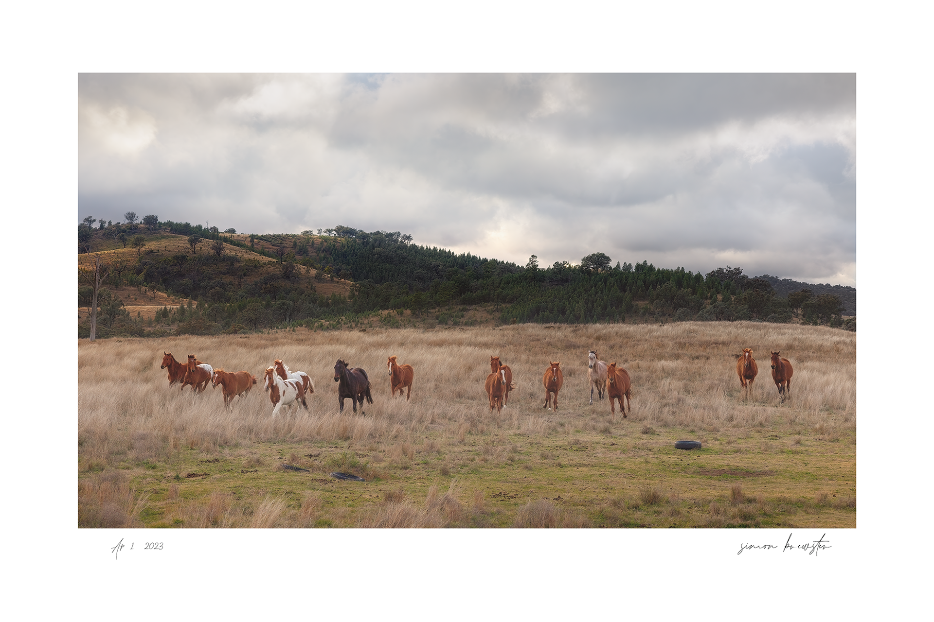 © simon brewster 2025