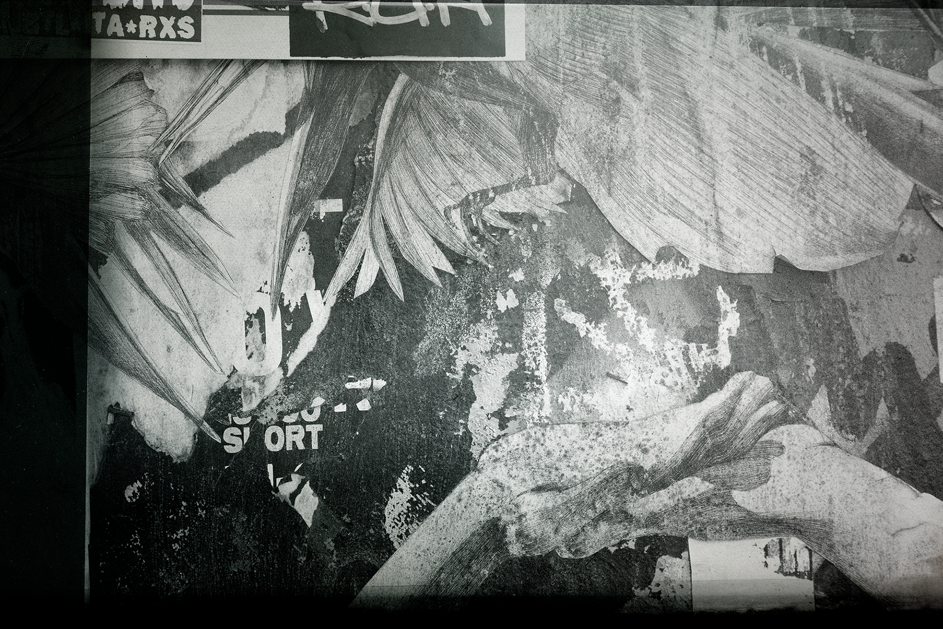 © simon brewster 2026