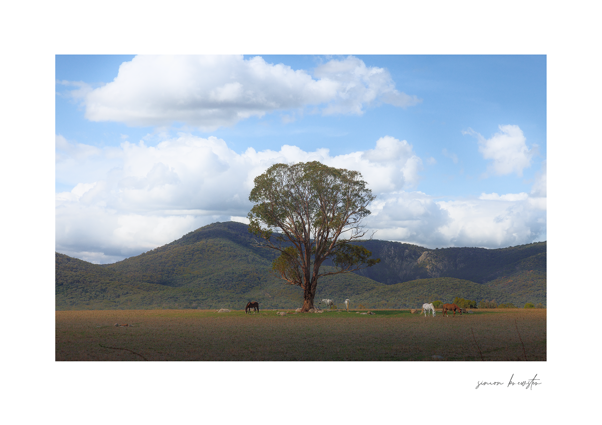 © simon brewster 2025