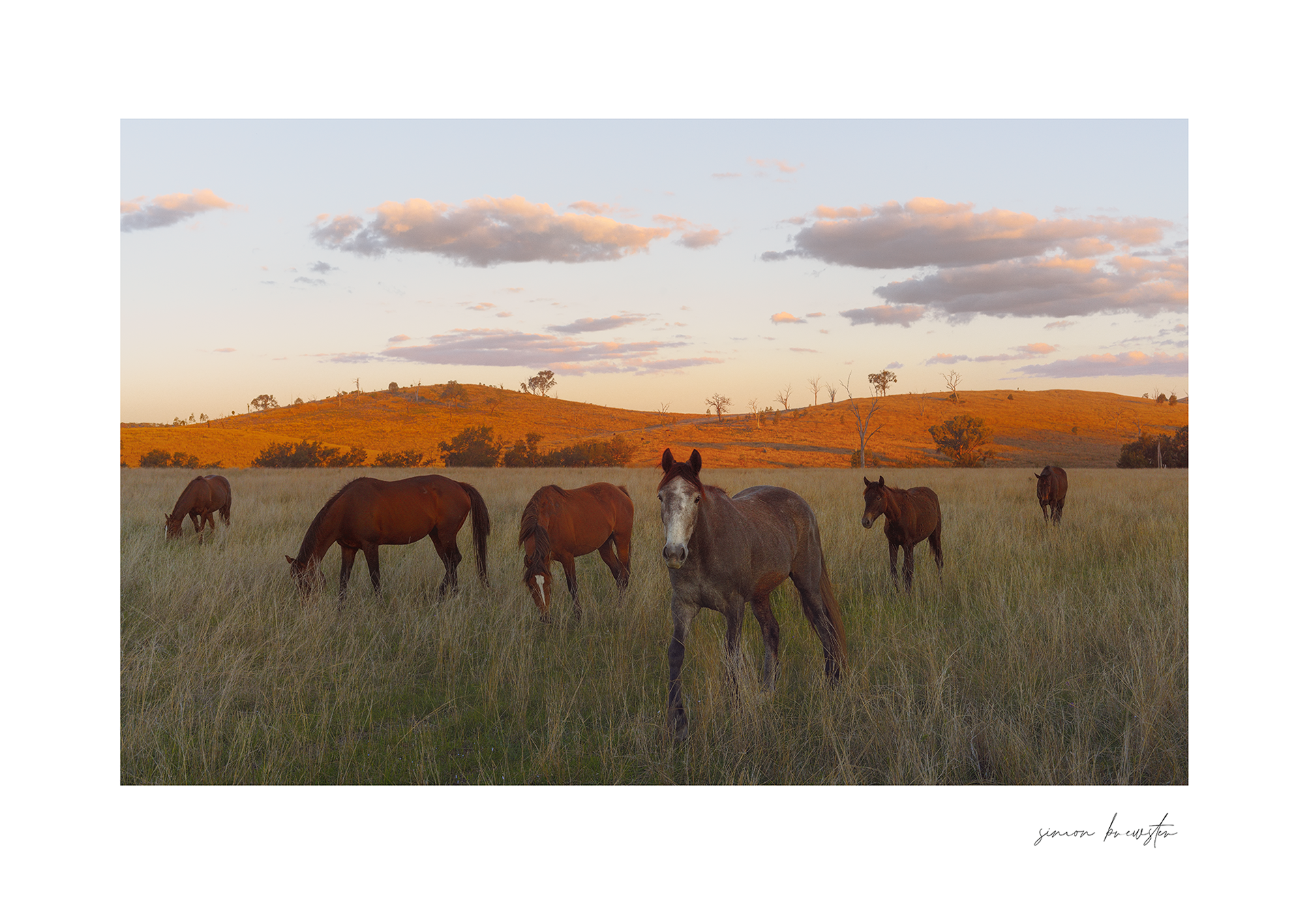 © simon brewster 2025