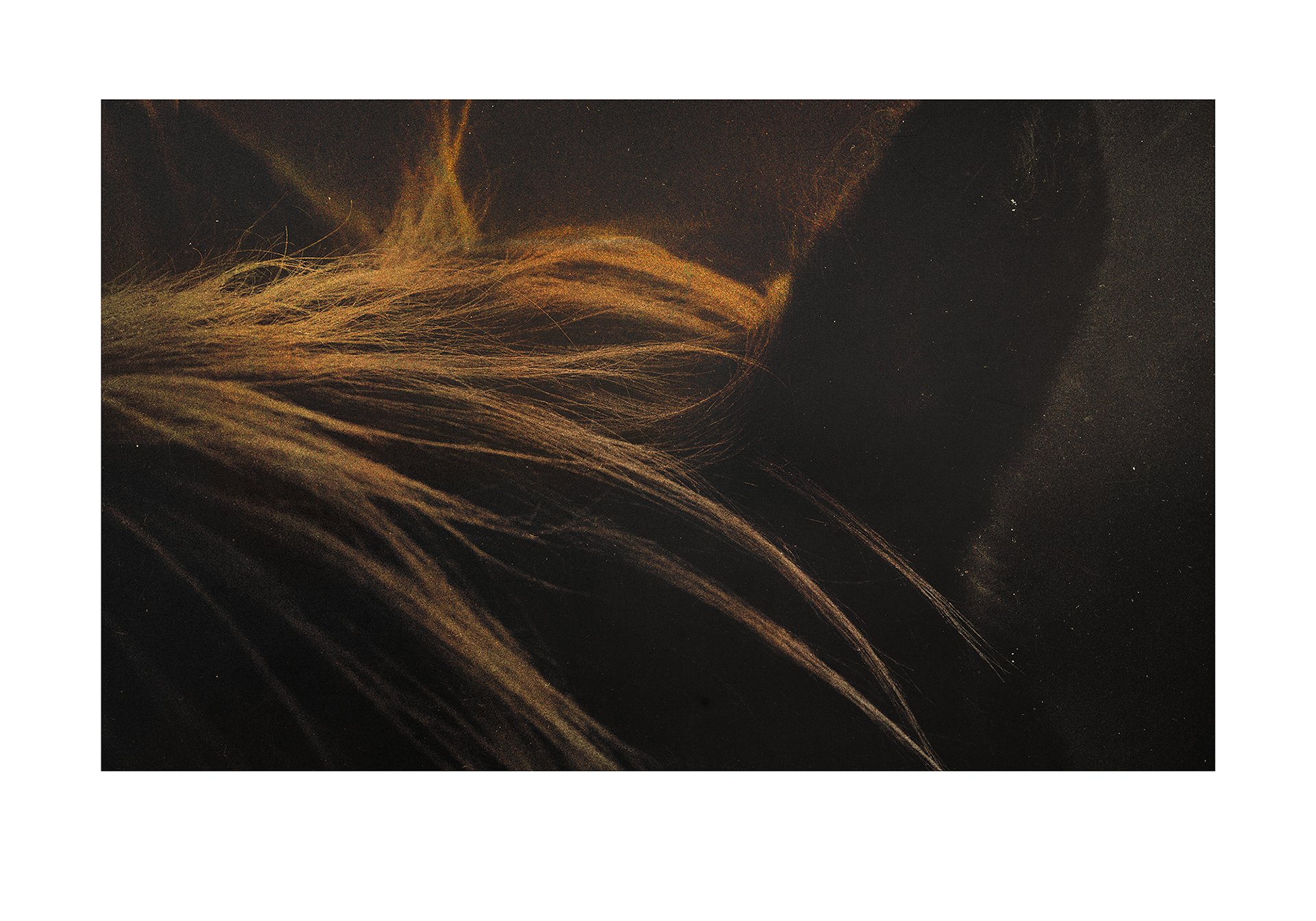 © simon brewster 2026