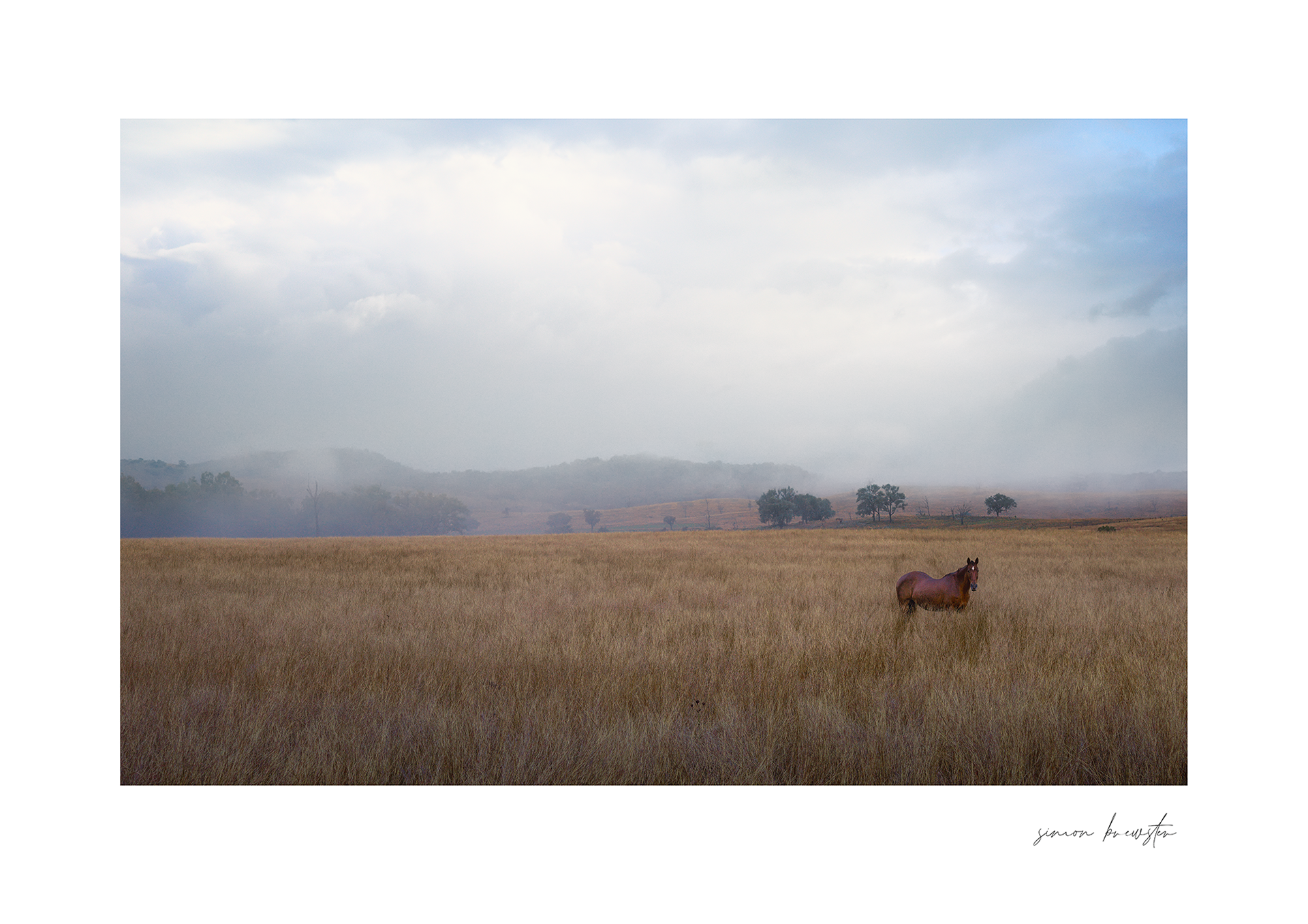 © simon brewster 2025