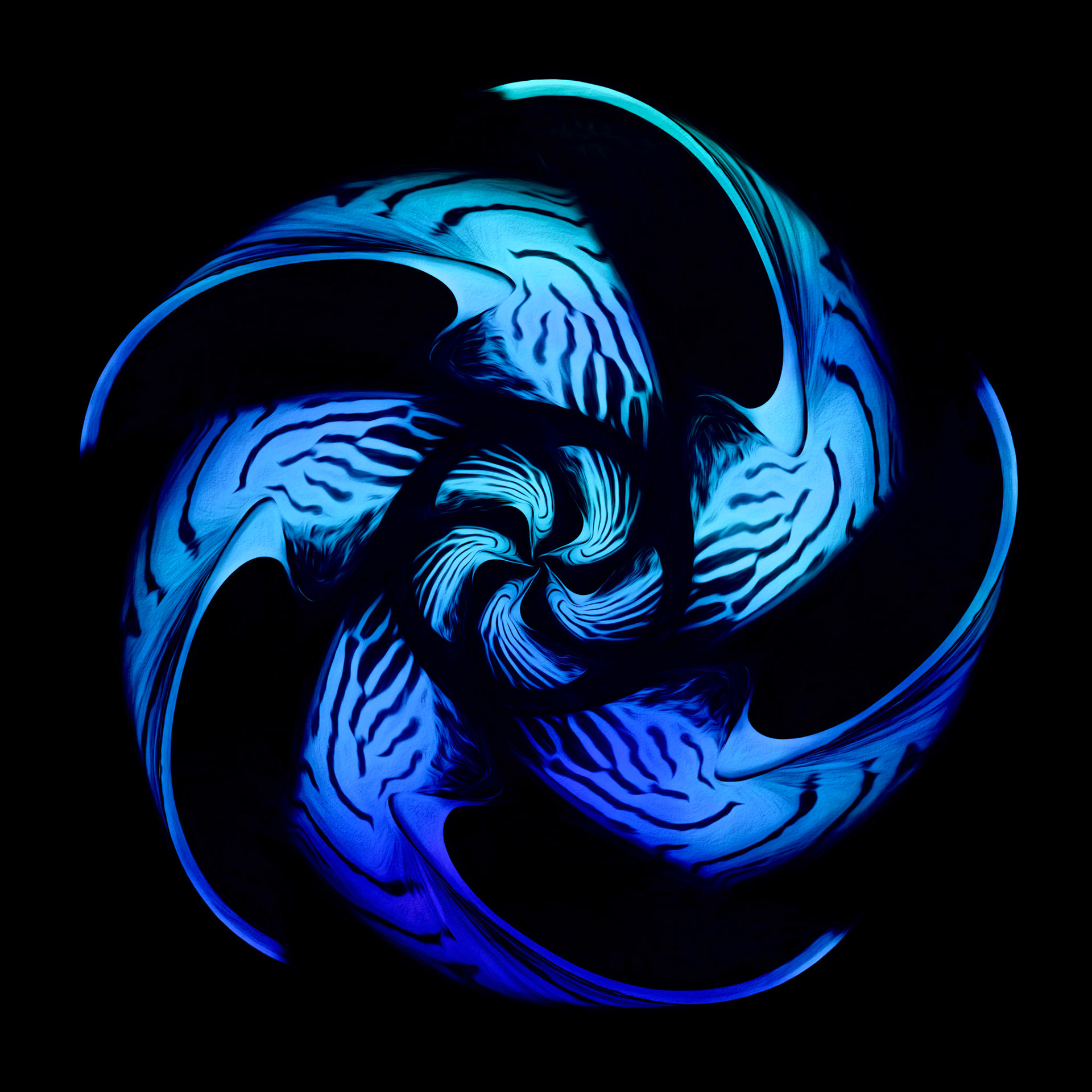 Nautilus Wheel in Blue