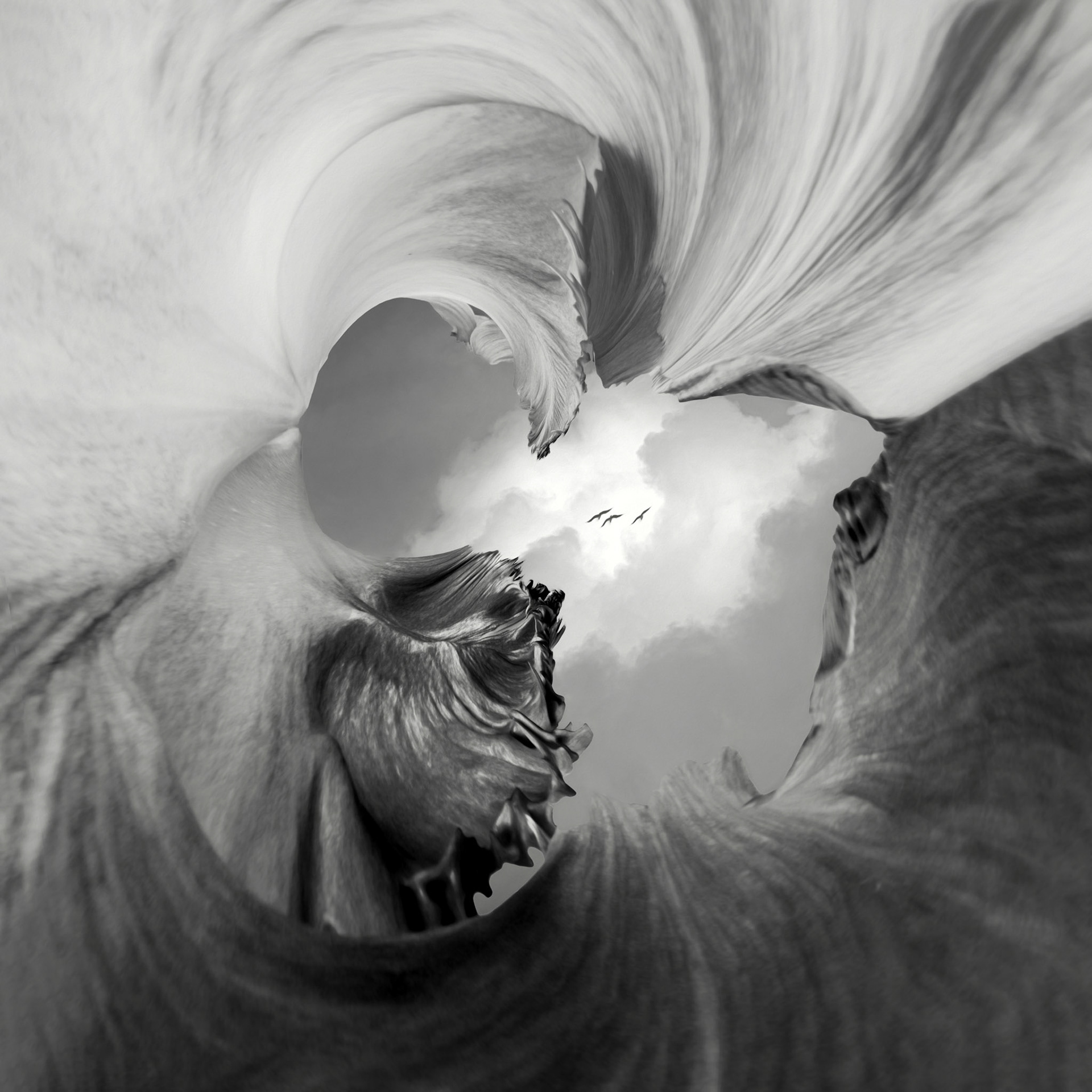 What the Flower Sees