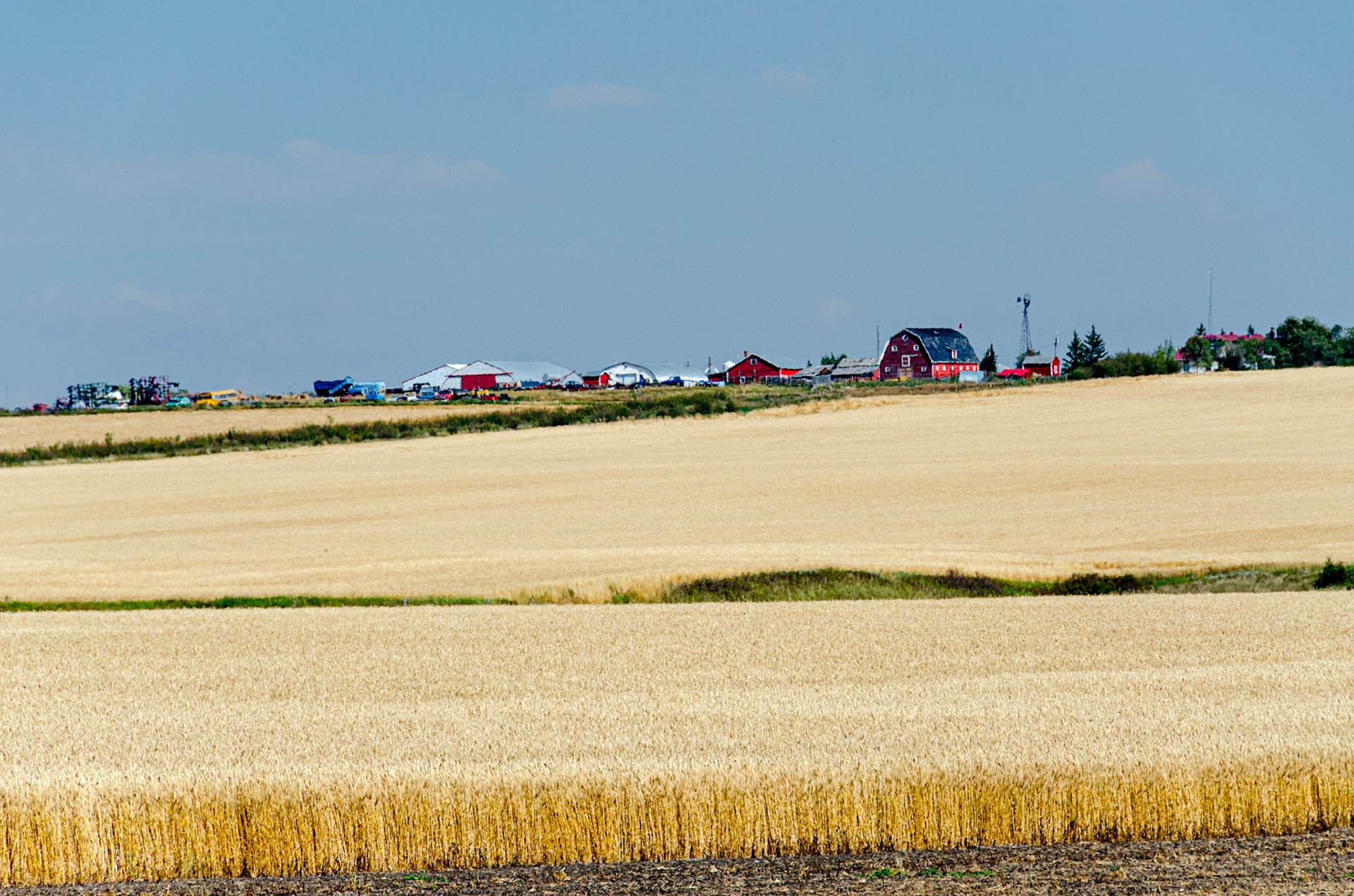 Farm at Drumheller