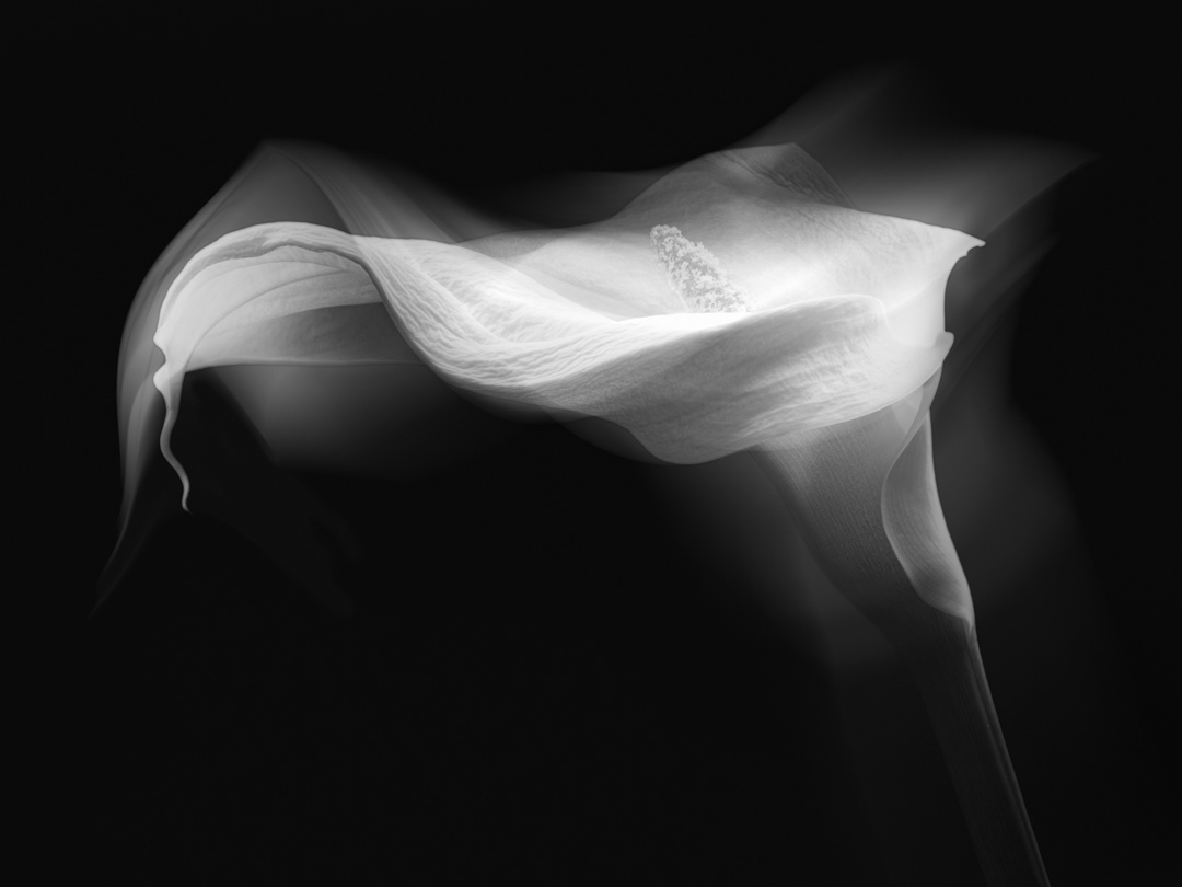 Dancer